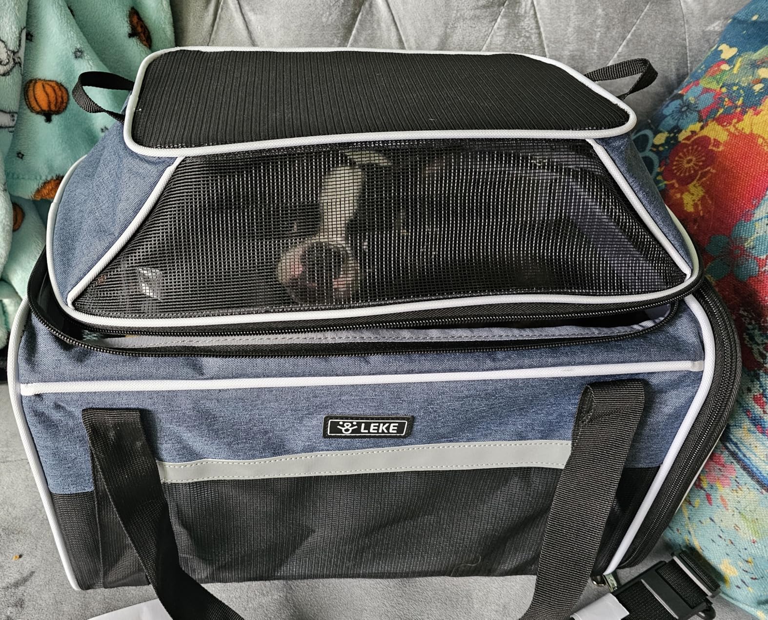 Lekereise Top-Expandable Pet Carrier 18x13x9.5 Inch Southwest Frontier Airline Approved Soft Sided Underseat to 15lbs Travel Carriers for Small Cats Dogs with Locking Safety Zippers Anti-Scratch Mesh customer photo 2