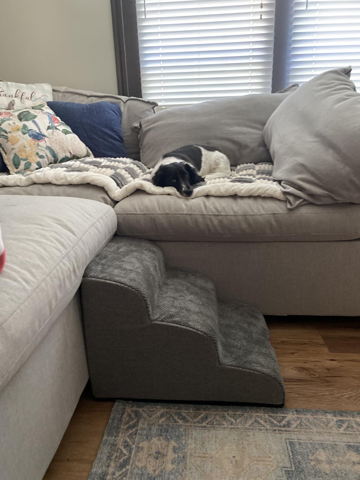 GoGoBunny Ramp Dog Stairs for Couch Sofa and Chair 15.7