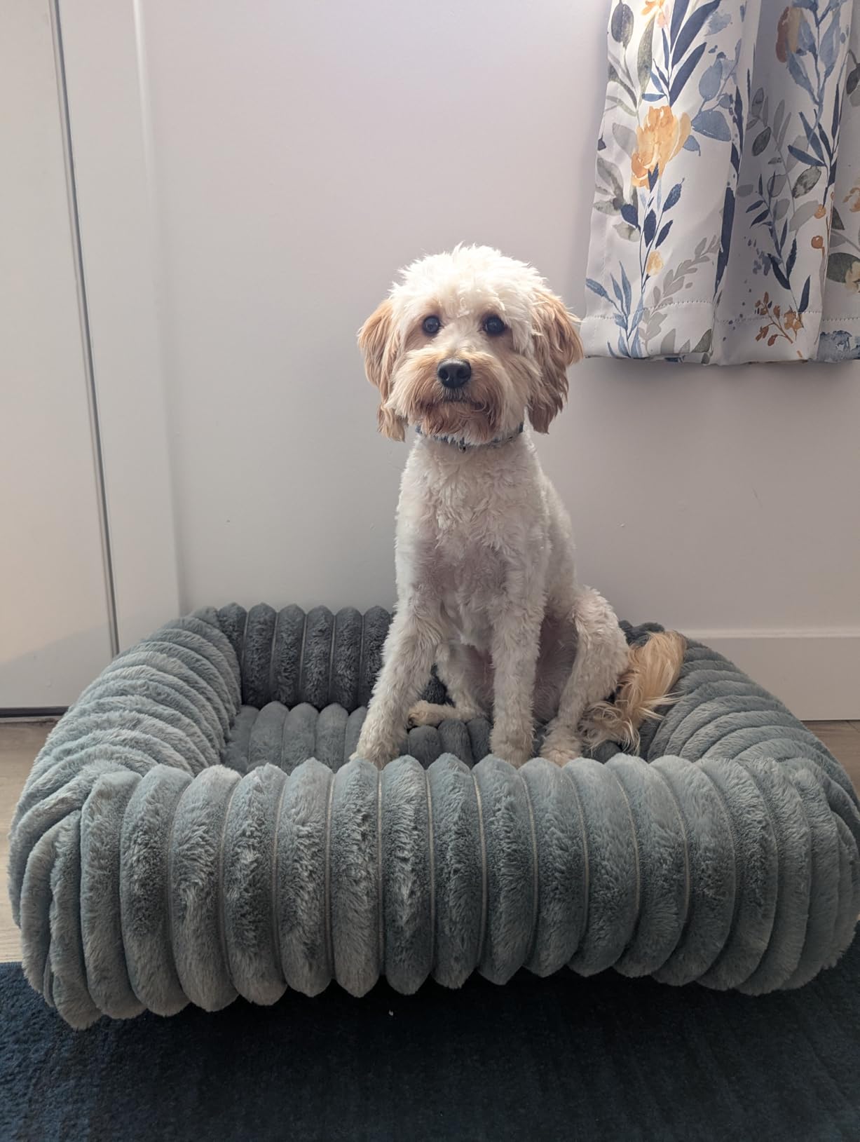 FURTIME Dog Bed for Small Dogs, Washable Orthopedic Dog Cat Bed with Removable Cover, Rectangle Soft Calming Sleeping Puppy Bed Durable Pet Cuddler with Anti-Slip Bottom, Grey, S (20