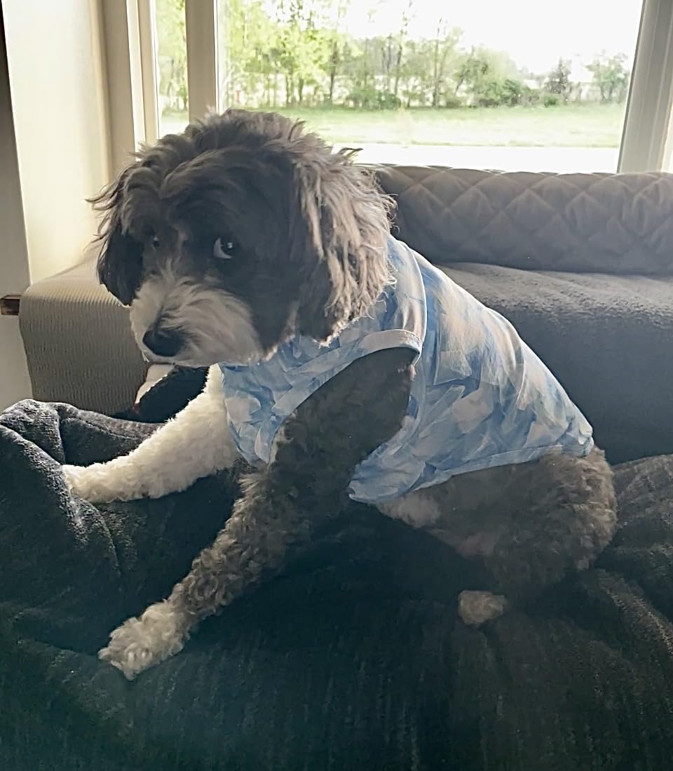 Fitwarm Ice Print Dog Cooling Vest, Summer Clothes for Small Dogs, Pet Outfit, Blue, White, Small customer photo 1