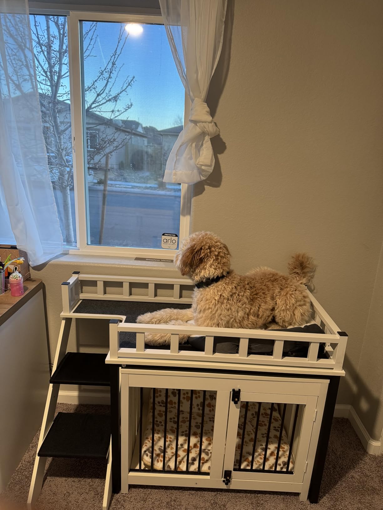 PAKASEPT Dog Crate Furniture, Pet Bunk Bed with Stairs and Storage, Dogs/Cats Window Perch, with Multi-Purpose Blanket and Fluffy Dog Bed for Small Medium Size customer photo 2