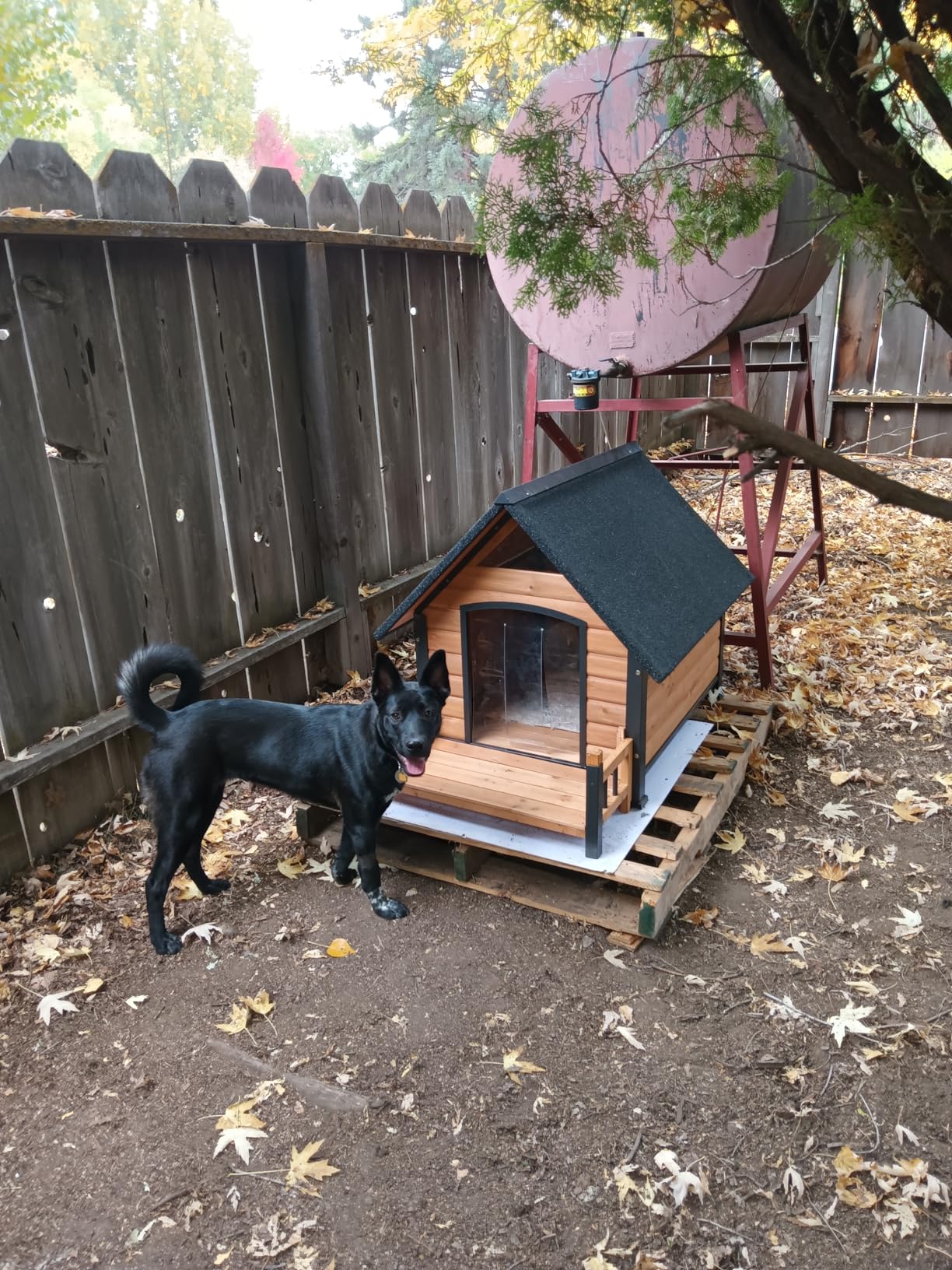Outdoor Dog House with All-Around Insulated Liner Weatherproof Puppy Shelter Indoor Dog Kennel, Anti-Bite Dog Home for Large Breed with Porch (Brown, Large) customer photo 2
