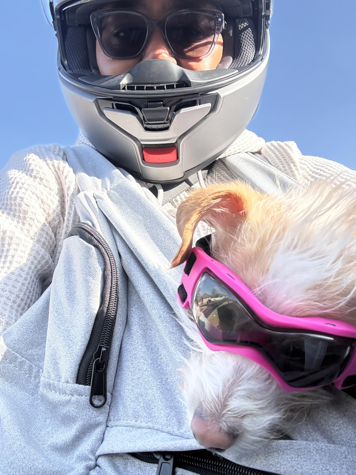 Petskd Dog Carrier Sling for Small Pet 7-15 LBS, Hands Free Front Facing Cat Sling Chest Carrier with Bottom Mat and Adjustable Strap for Pets Anti-Anxiety, Walk, Vet customer photo 1