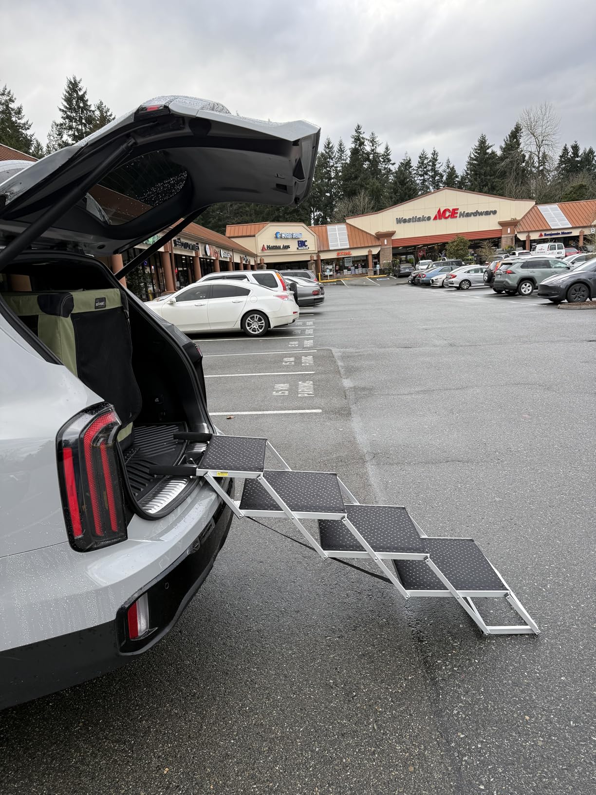 Dog Ramp for Car 63