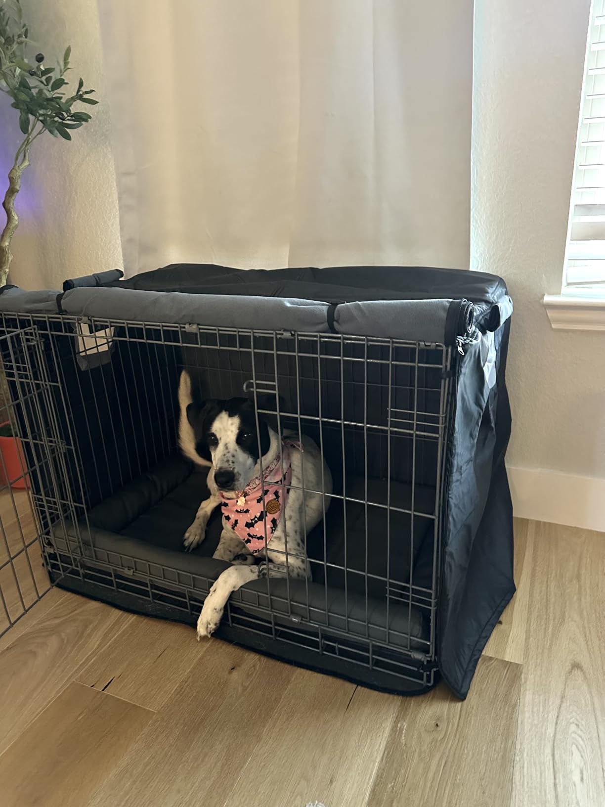 Dog Crate Cover 1200D Heavy Duty Polyester Built-in Anti-freezing Felt, for 48 inch Wire Dog Cage Winter Indoor Outdoor Protection customer photo 2