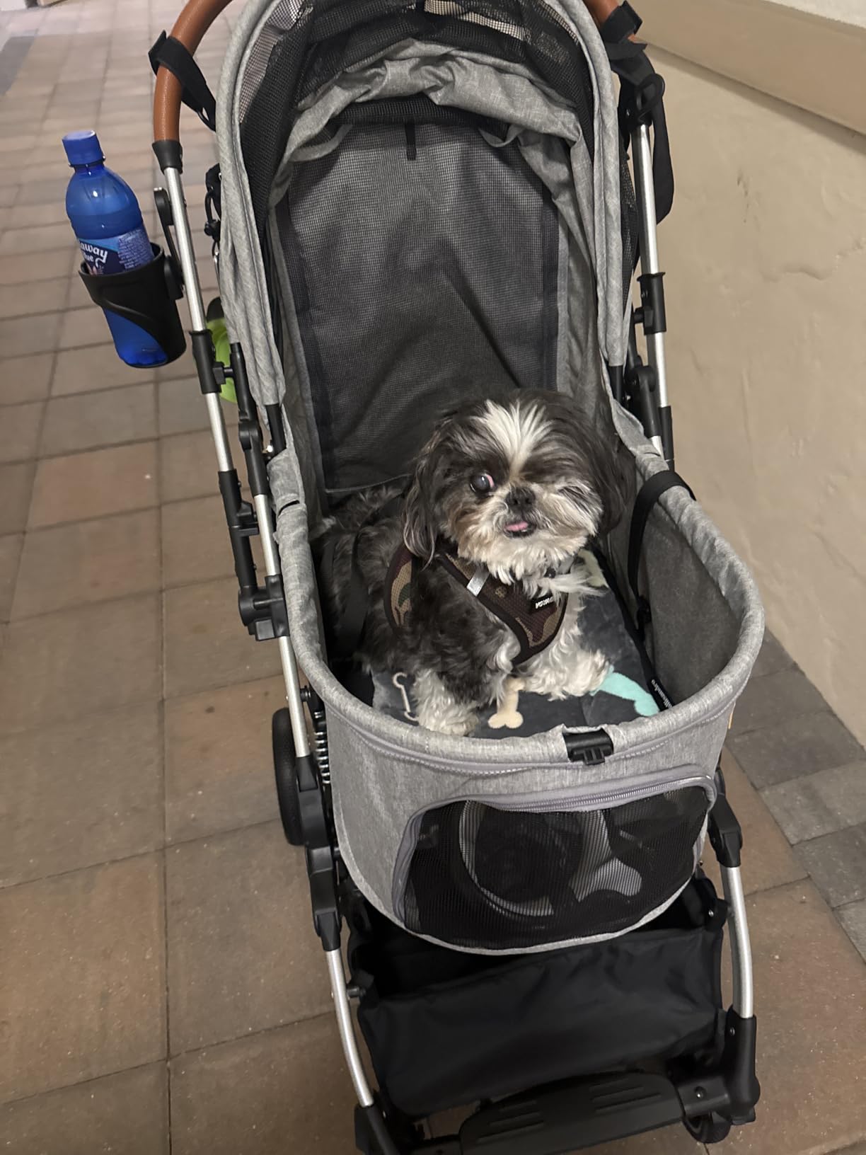 Bicystar Pet Stroller for Small Medium Dogs Cats Up to 45 lbs, Travel Lite Collapsible, All Terrain 4 Wheels for Jogging, Running, Grey customer photo 1