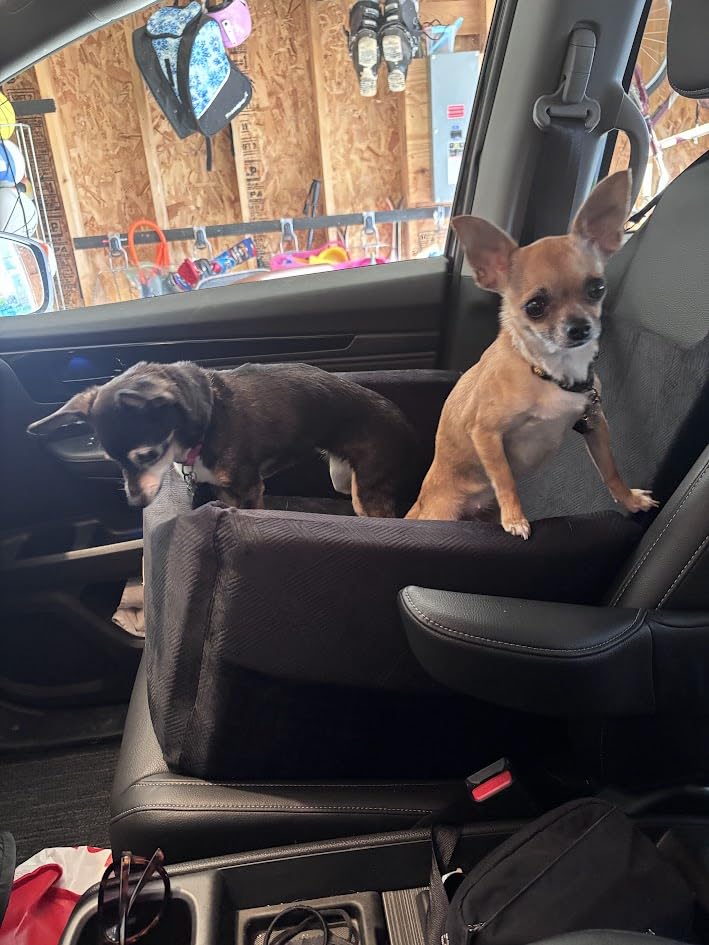 JOEJOY Dog Car Seats for Small Medium Dogs Under 35lbs, Dog Booster Seat with Detachable Washable Cover and Cushion, Memory Foam Pet Car Seat with Safety Belt and Storage Pockets (Black) customer photo 1