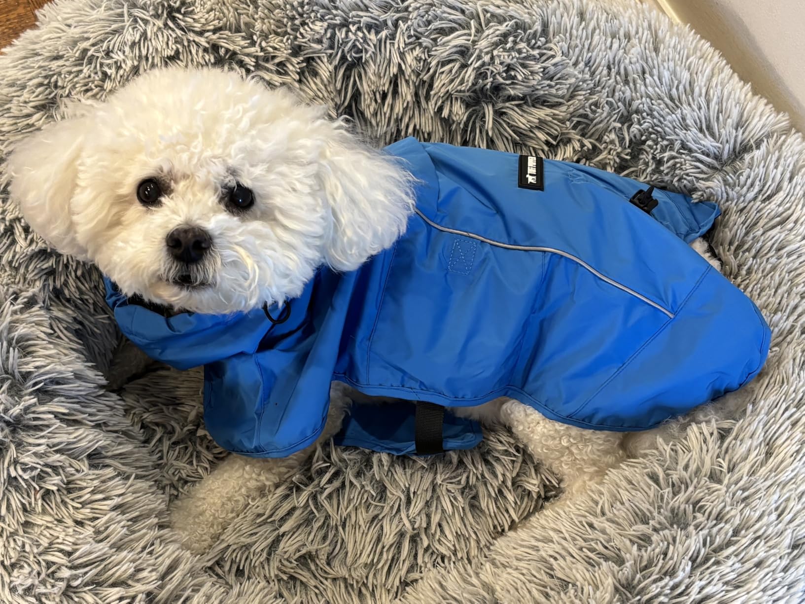 Tuff Pupper Waterproof Dog Raincoat | Full-Body Windproof Rain Jacket for Dogs | Reflective Strips | Breathable Mesh Lining | Adjustable Fit | Leash Port | Small Medium Large XL XXL Dogs (Olive, XXL) customer photo 2