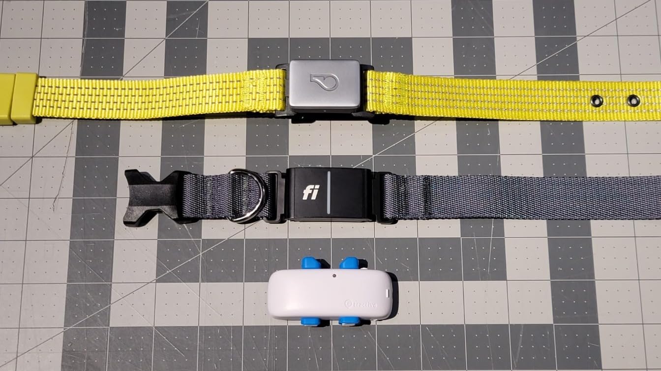 Fi New Series 3+ Smart Dog Tracker Collar [12 Month Membership Included] GPS Tracker for Dogs with Health & Behavior Monitoring, Escape Alerts, Waterproof, LED, Apple Watch Compatible (Blue, Large) customer photo 2