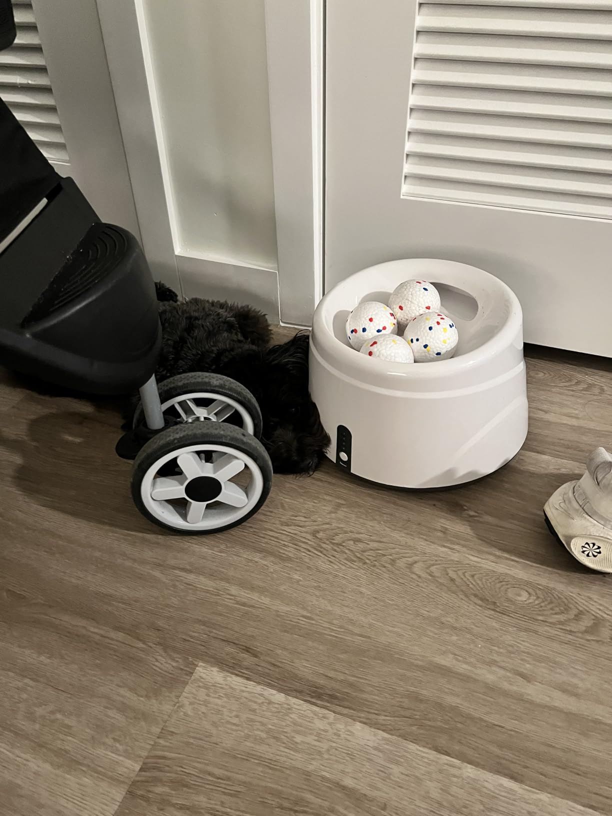 Automatic Ball Launcher for Dogs with 6 ETPU Balls, White, Adjustable Distance 20-45ft, USB Rechargeable, Interactive Dog Toy (Gary) customer photo 1