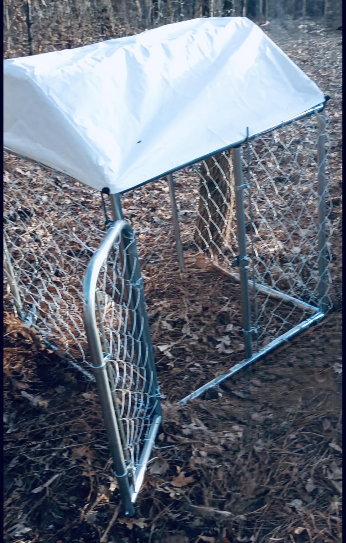 LotFun Large Outdoor Dog Kennel, 10 x 10 FT Heavy Duty Dog Enclosure with Chain Link Fence, UV-Resistant Canopy Cover, Double Lock Security (10 x 10 x 5 FT) customer photo 1