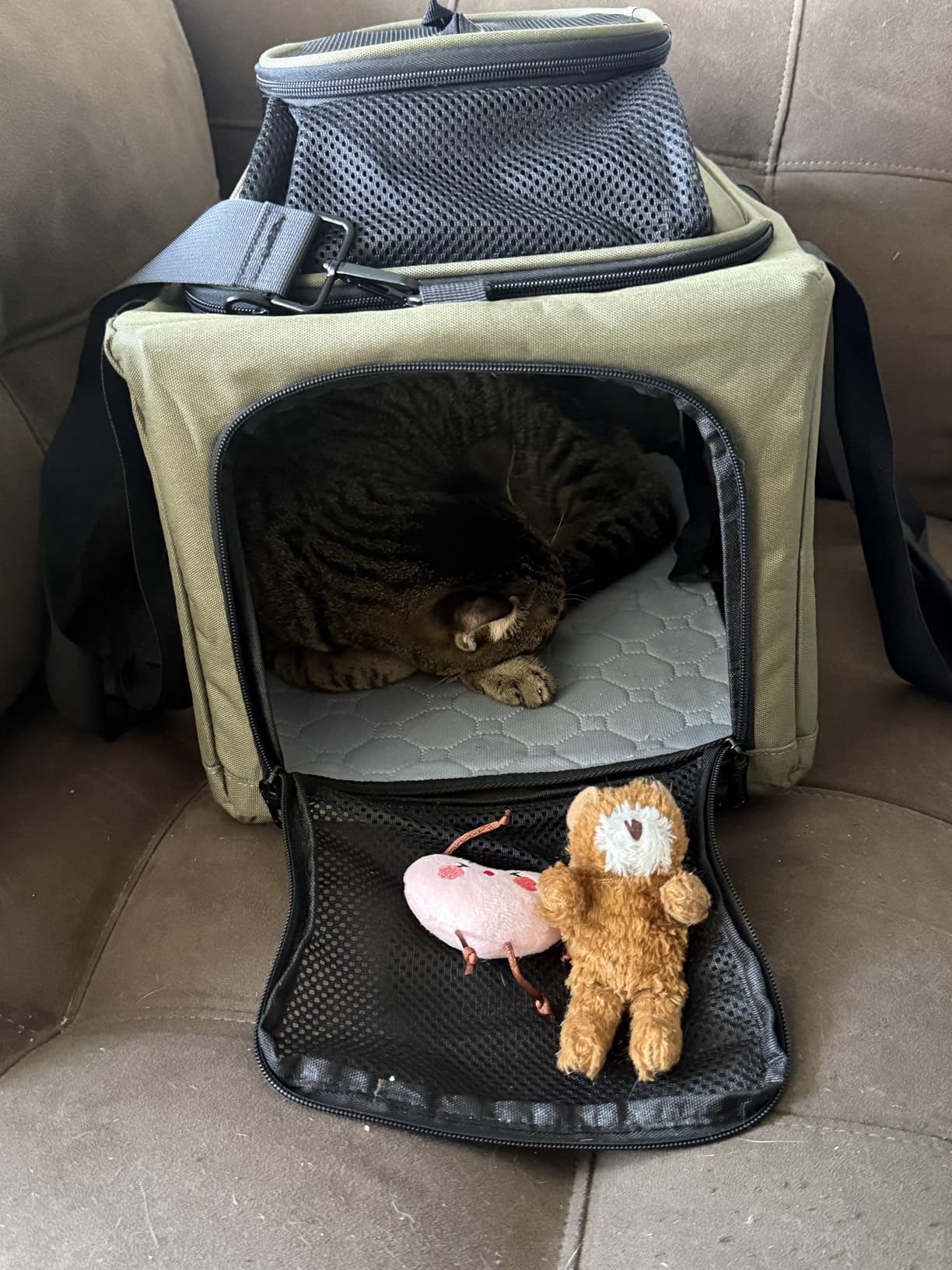 Pecute Expandable Pet Carrier Airline Approved Dog Cat Carrier, Breathable Soft-Sided with Locking Zippers, Pet Travel Bag for Small Dog Cat customer photo 2