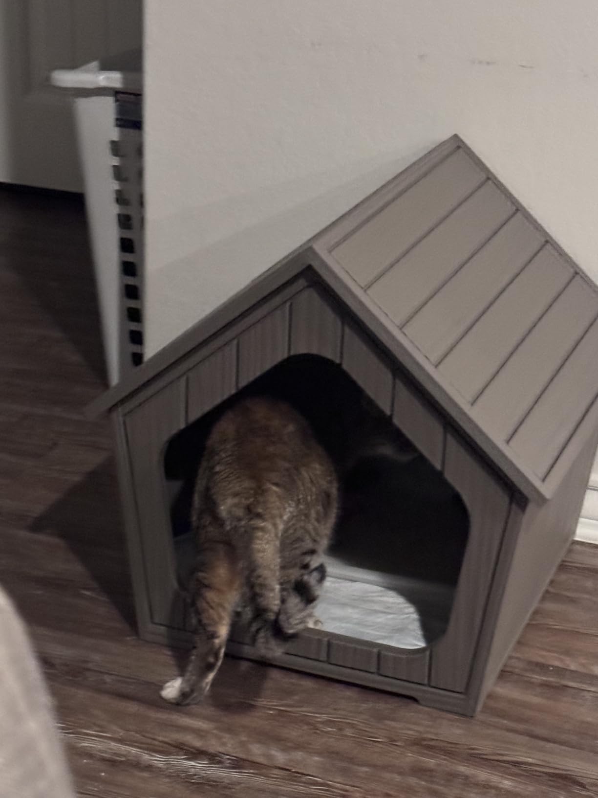 Vixzen Dog House Outdoor Indoor Small Dog Resin Material Doghouse Outdoor Weatherproof Puppy Kennel with Air Vents, Easy Assembly Cozy Pet Shelter for Patio, Porch, Living Room (Grey) customer photo 1