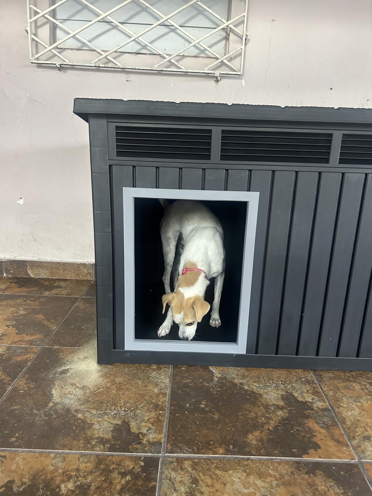 Fancyango Large Dog House for Indoor & Outdoor - Weatherproof & Removable Roof, Fits Small to Large Dogs (42.8
