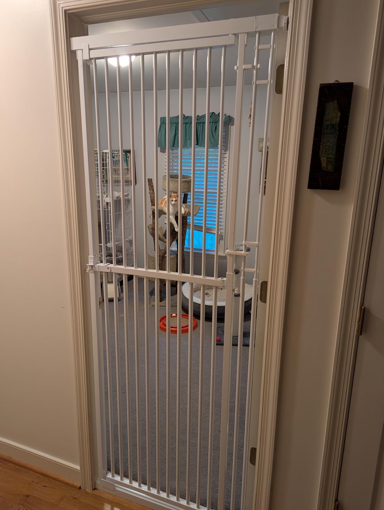 Gardner Pet 51