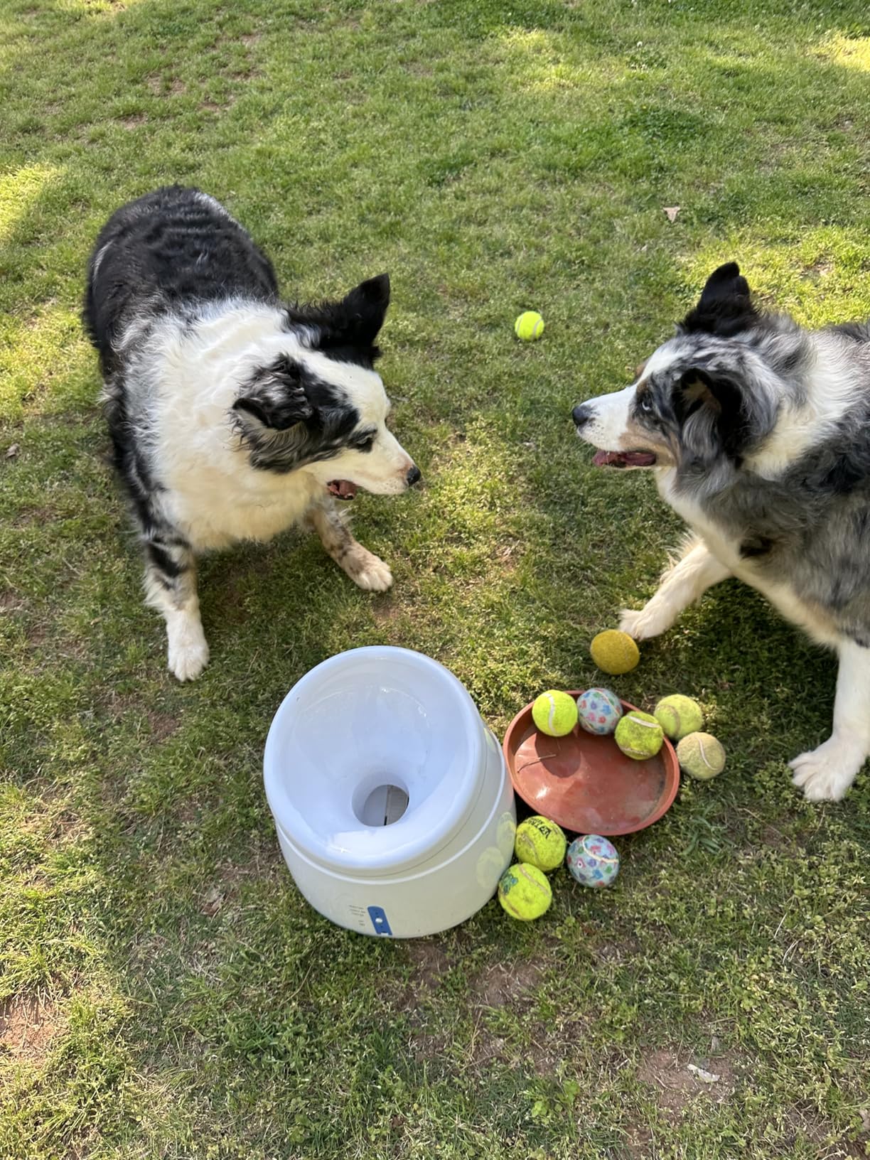 Pet Prime Upgraded Automatic Dog Ball Launcher for Large Dogs, Interactive Rechargeable Dog Ball Thrower Launcher Toy, Adjustable 10-64ft, 6PCS 2.5