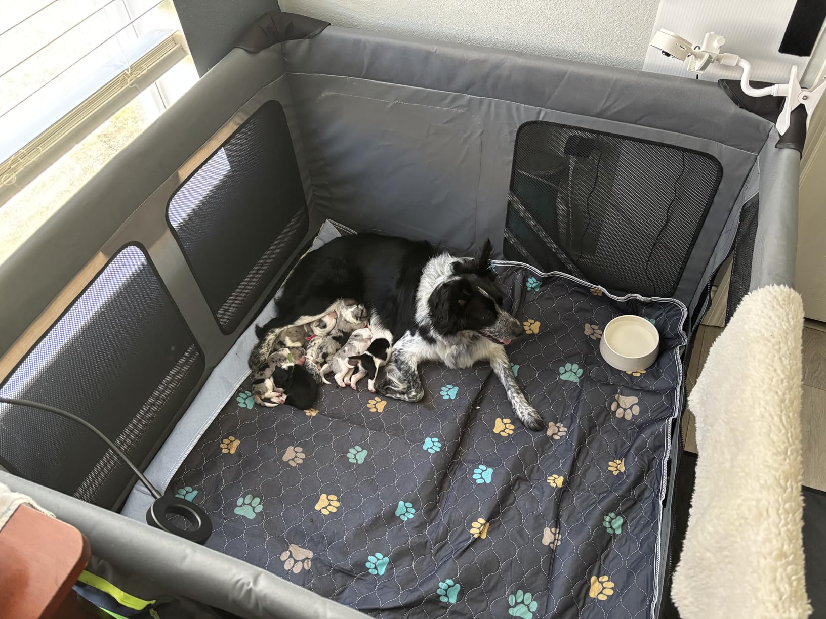 LOOBANI Foldable Dog Playpen with Cover: 1 Min Setup Pet Puppy Playpen Indoor, Sturdy Reinforced Steel/Iron Frame Dog Fence, Portable Whelping Box for Home Dog Cat Rabbit-43.3