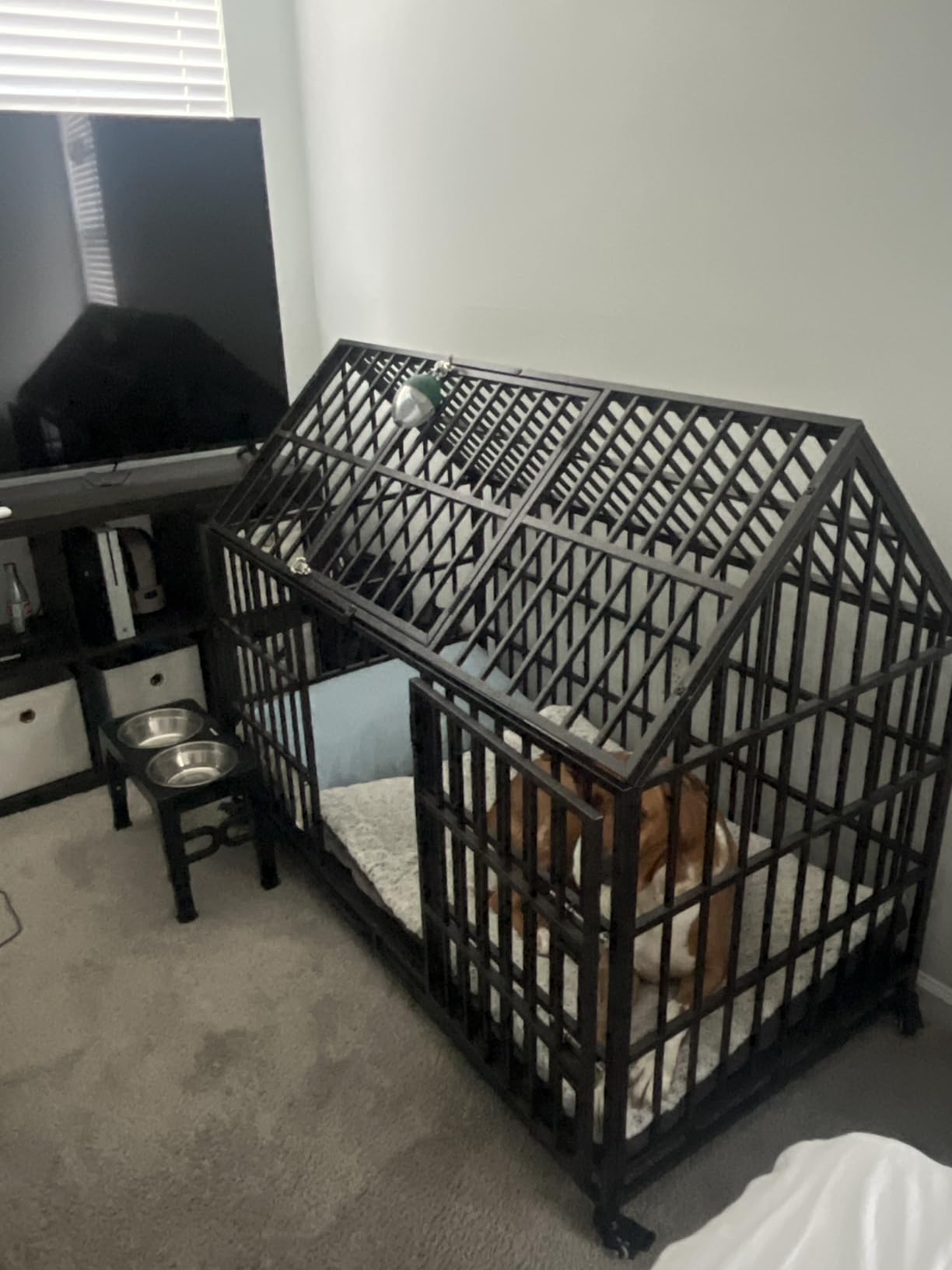 58 inch Heavy Duty Indestructible Dog Crate, New Upgraded Reinforced for Large Dogs,XXL Dog Crate for High Anxiety Dogs/Max Load Capacity 250lbs/Double Door with Wheels customer photo 1