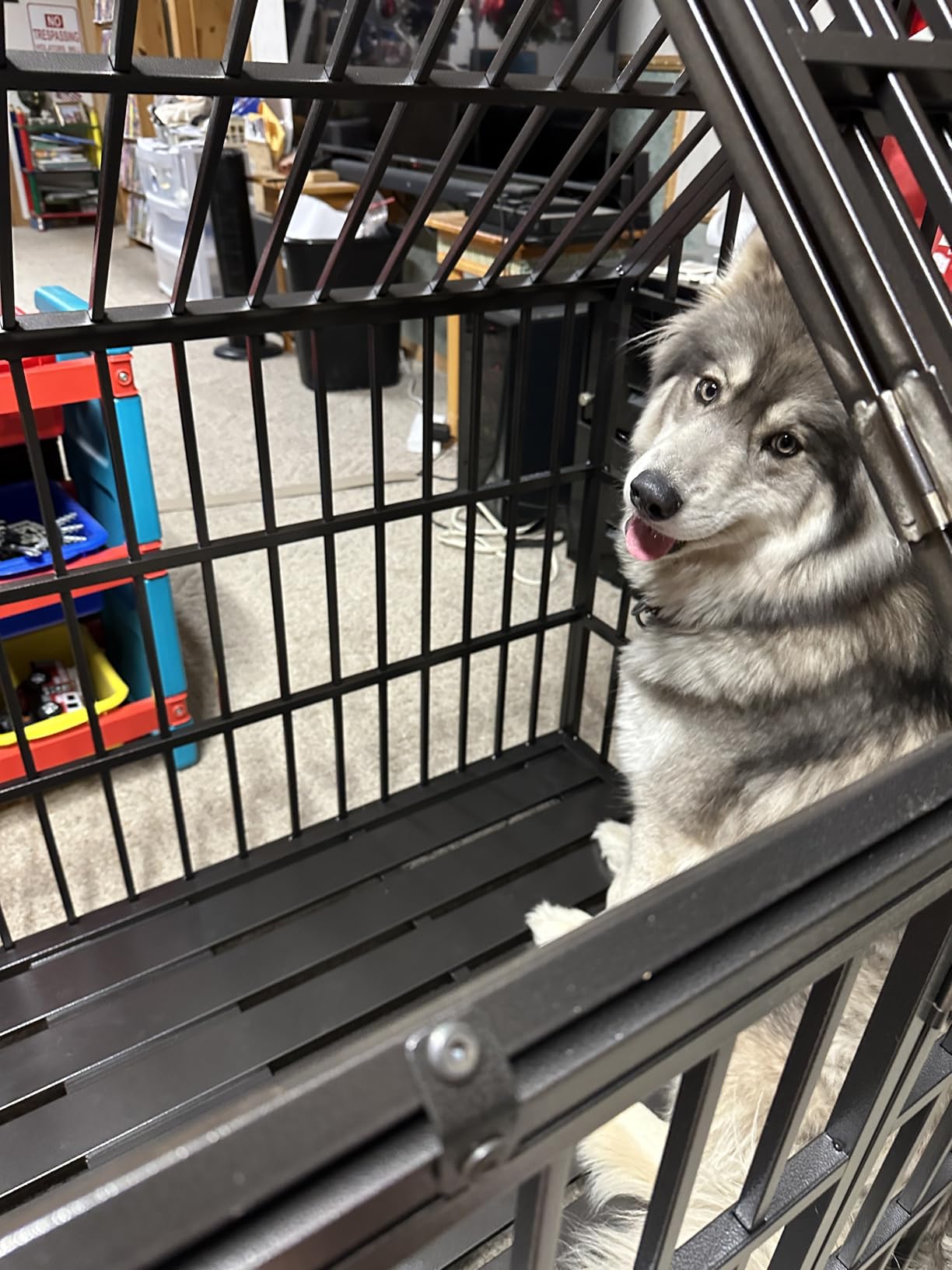 58 inch Heavy Duty Indestructible Dog Crate, New Upgraded Reinforced for Large Dogs,XXL Dog Crate for High Anxiety Dogs/Max Load Capacity 250lbs/Double Door with Wheels customer photo 2