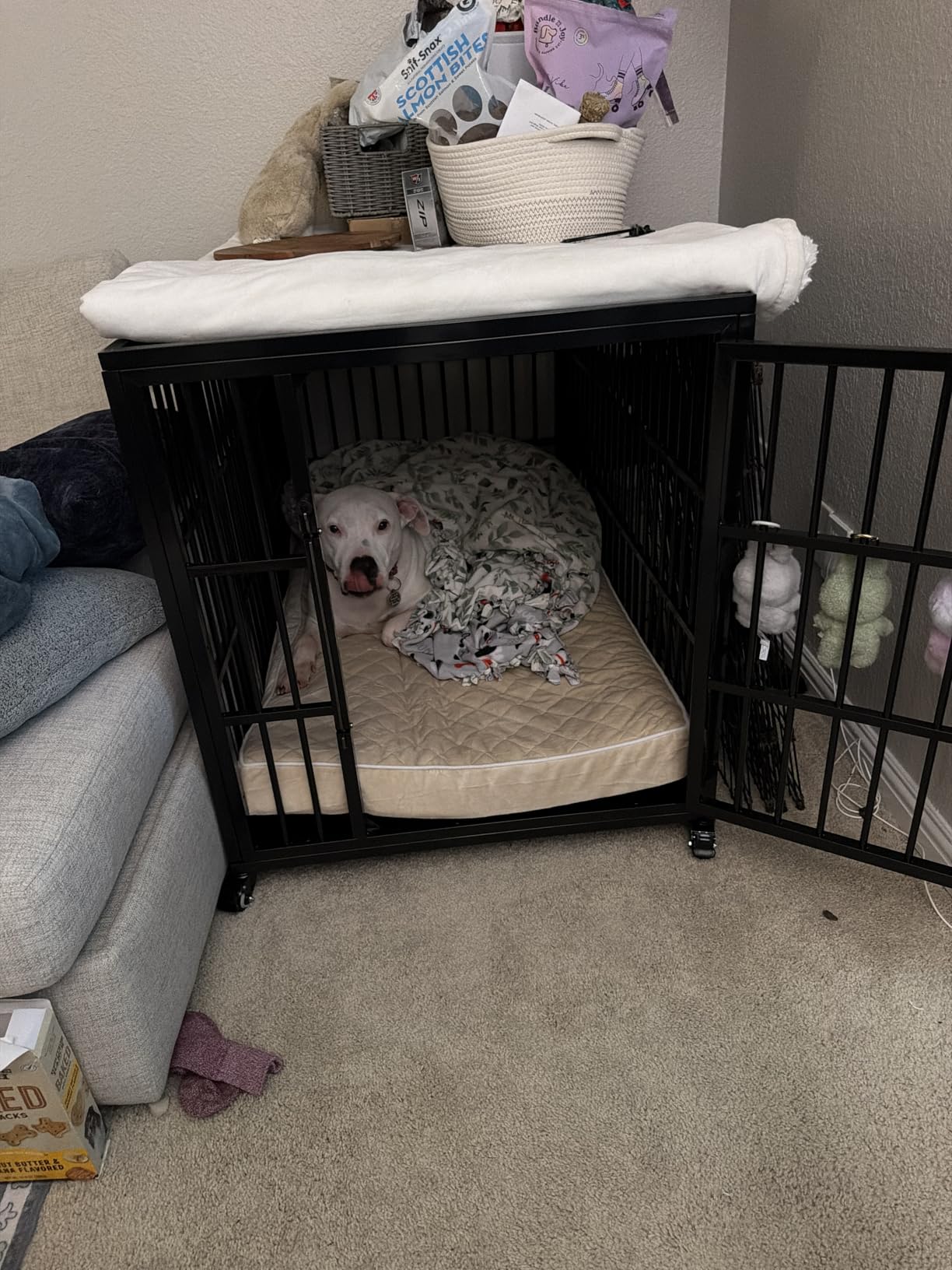 VERIFURTY 48 Inch Heavy Duty Dog Crate for Large Dogs with Self-Locking Latch, Escape-Proof Steel Kennel Indoor, XL Large Double Door Metal Pet Cage with Wheels customer photo 2