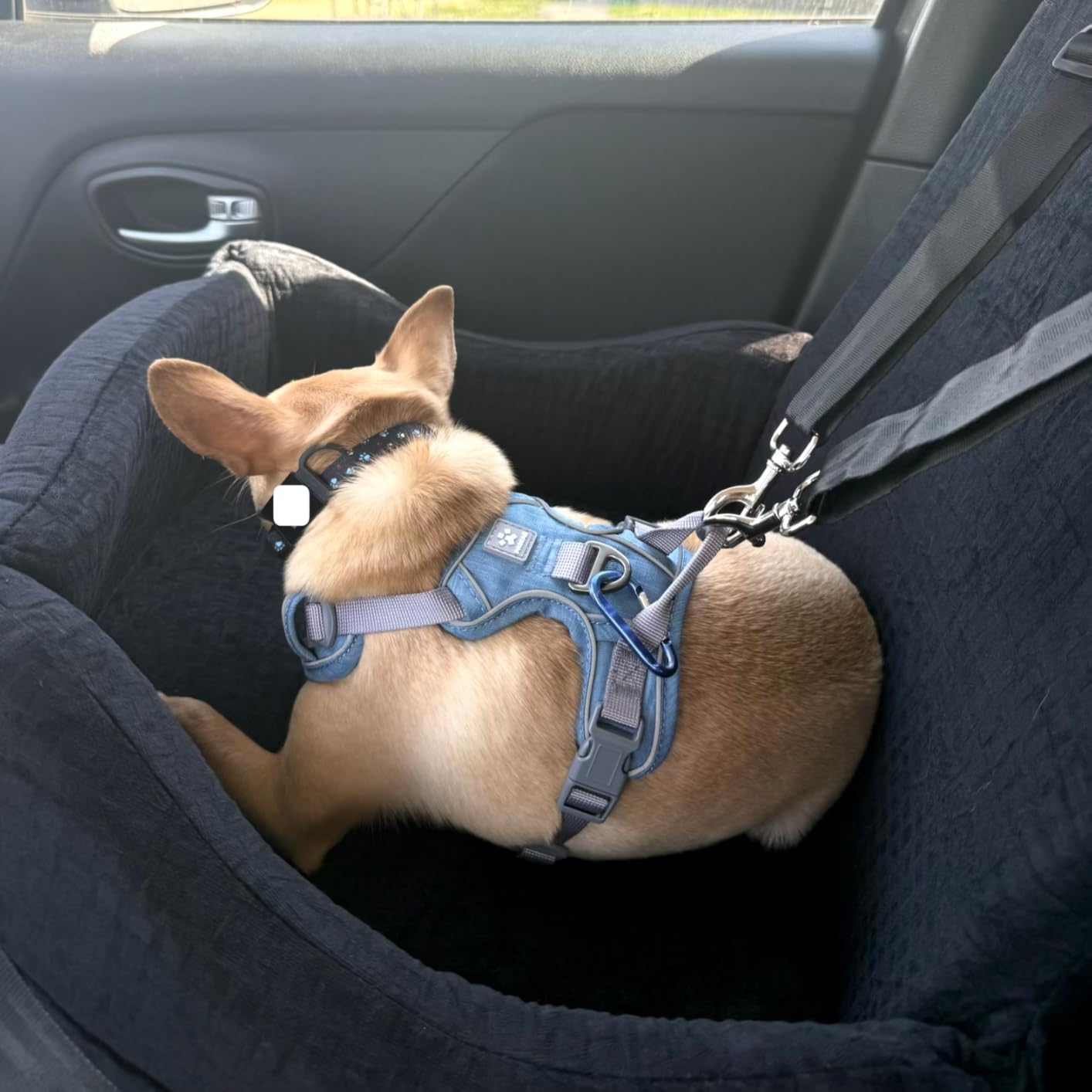 PETSFIT Dog Booster Car Seat for Small/Medium Dogs Up to 35 lbs - Patented Safety System, 5