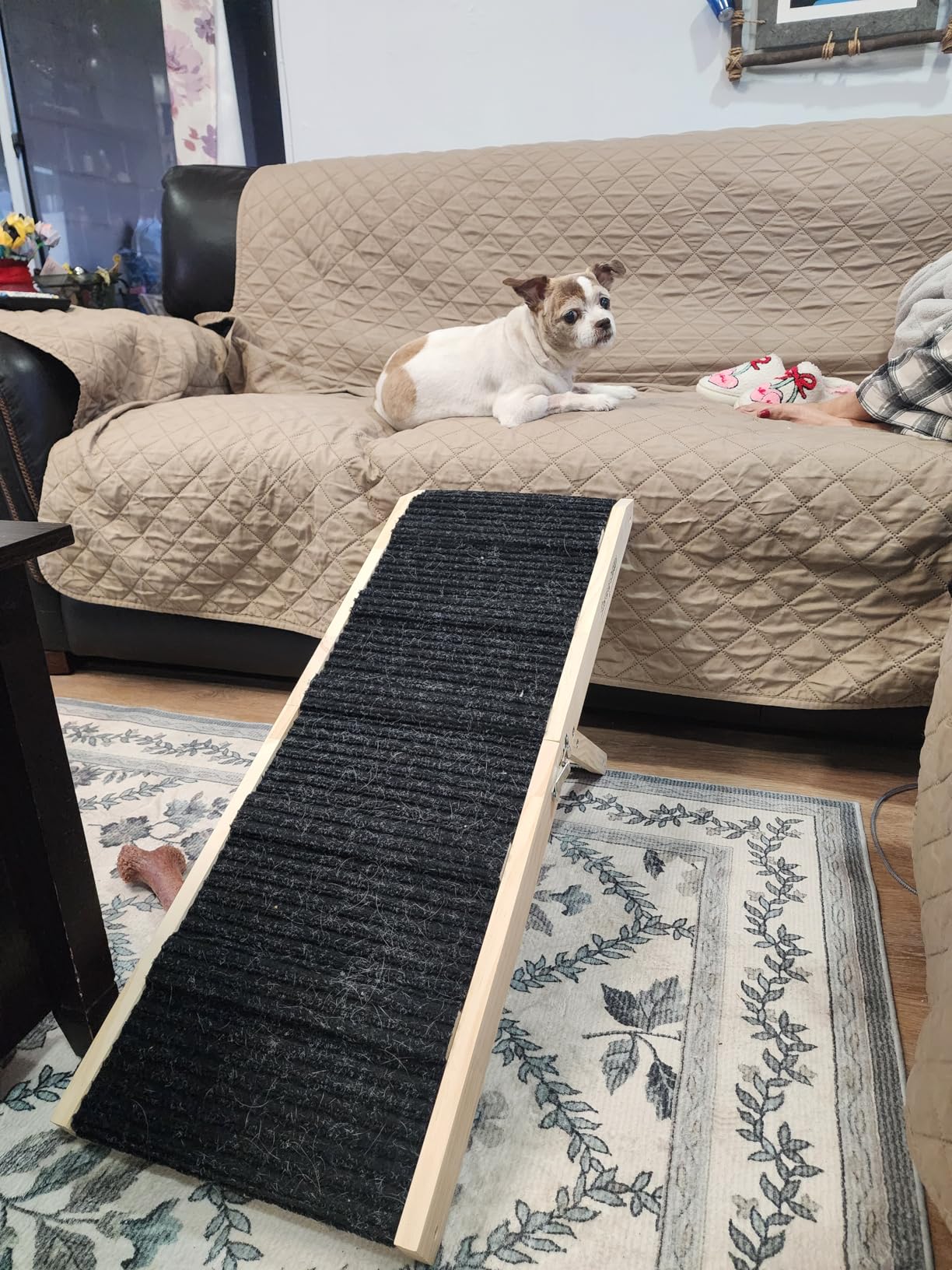 2026 Upgraded Dog Ramp for Couch - Foldable Small Dog Ramp for Bed customer photo 2