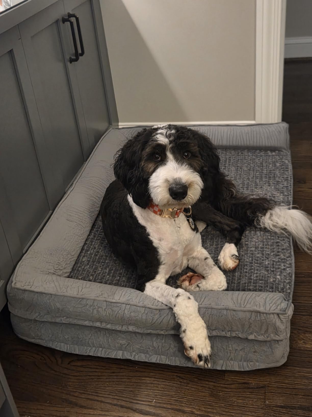 COZY KISS Orthopedic Dog Bed for Small Medium Size Dogs, Bolster Pet Couch with Waterproof Lining, Egg Crate Foam Sofa for Pets Up to 30 lbs, U-Shaped, 30x20x6.5 inch, Beige customer photo 1