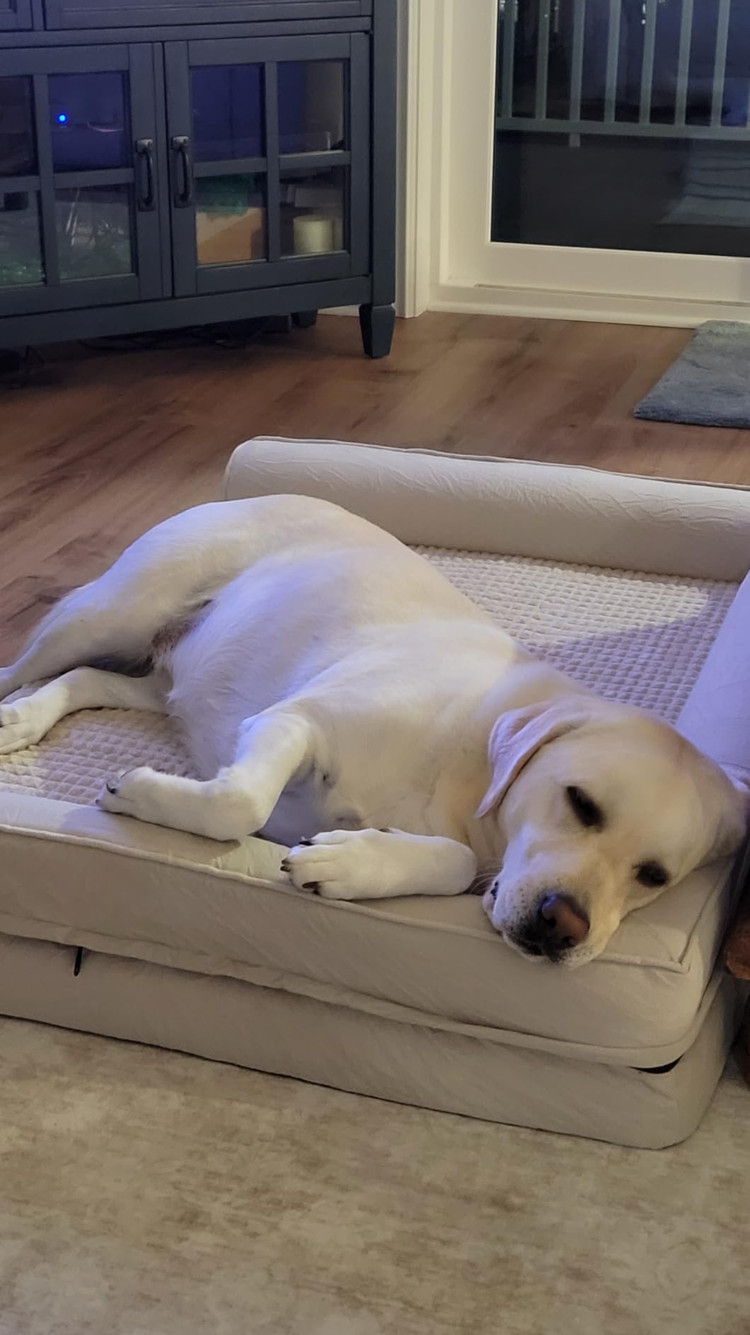 COZY KISS Orthopedic Dog Bed for Small Medium Size Dogs, Bolster Pet Couch with Waterproof Lining, Egg Crate Foam Sofa for Pets Up to 30 lbs, U-Shaped, 30x20x6.5 inch, Beige customer photo 2