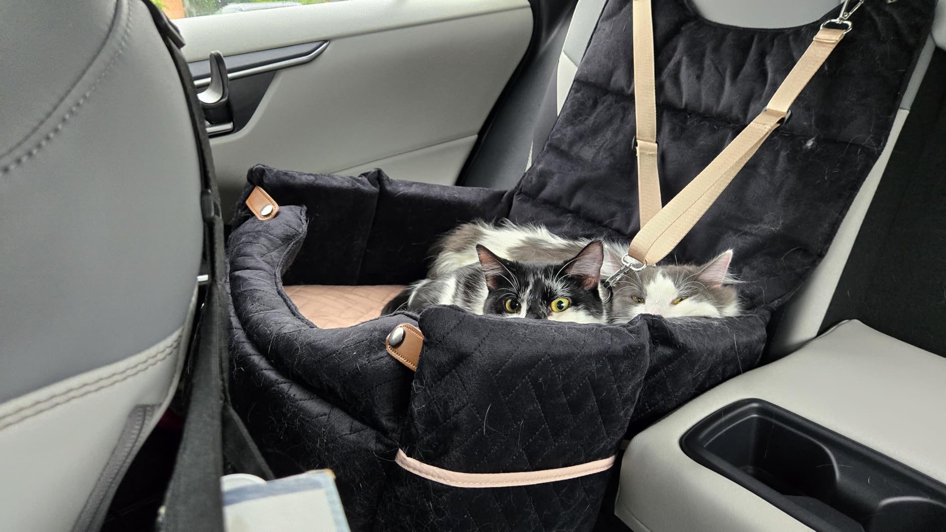 ZOMISIA Elevated Dog Car Seat for Medium Dogs, 3 Adjustable Heights with 2 Egg Crate Foam Boosters 4