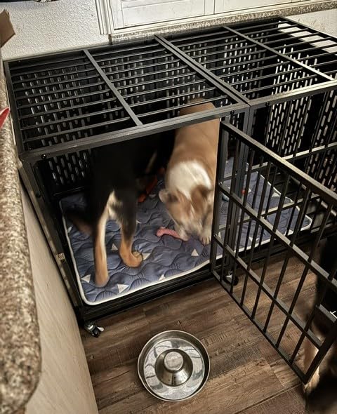 Snuowu 48 Inch Heavy Duty Dog Crate with Wheels, Metal Big Dog Cage for Large and Medium Dogs, Extra Large XL XXL Indestructible Dog Crate with Removable Tray customer photo 1