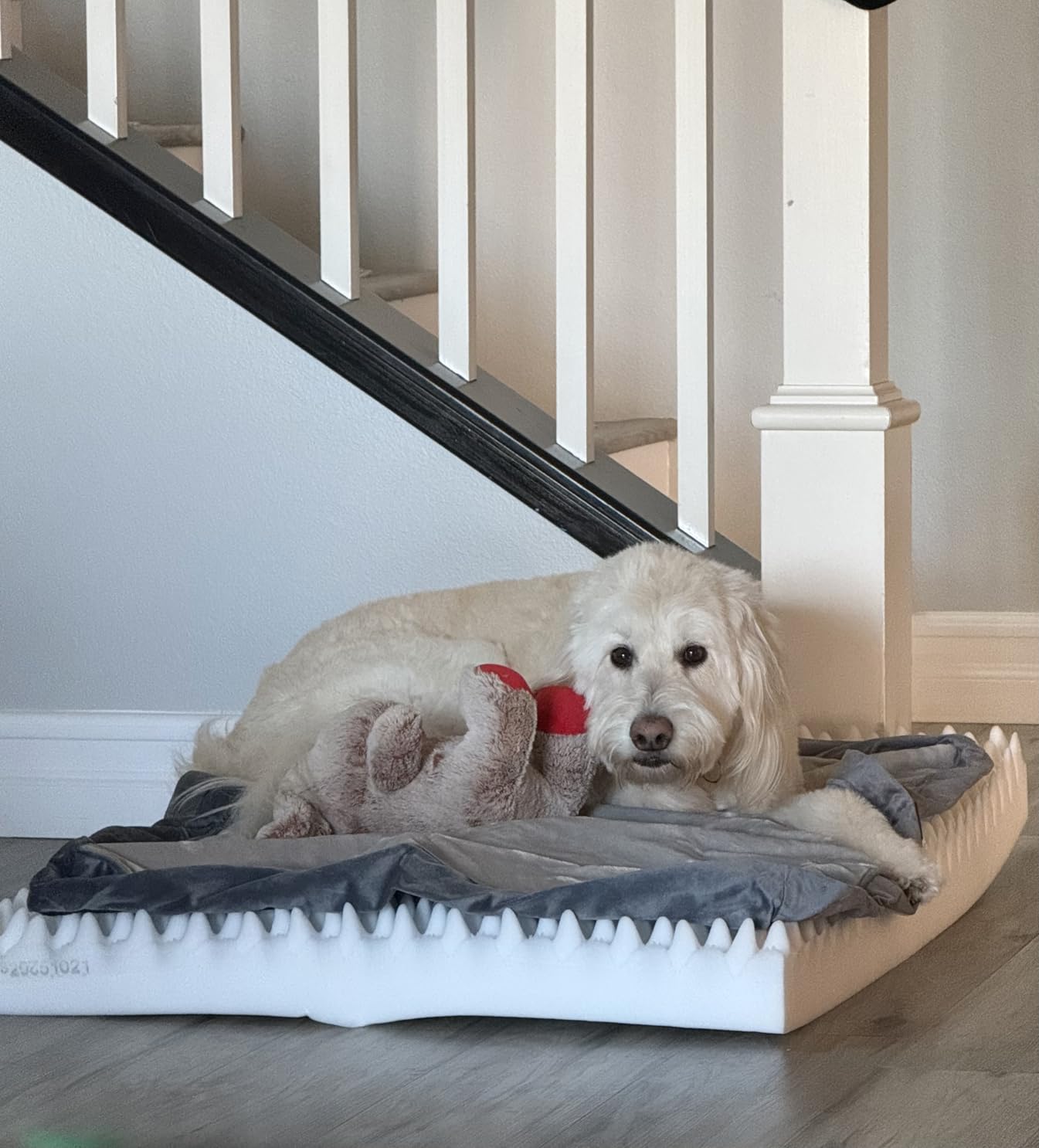 OhGeni Orthopedic Waterproof Dog Bed for Extra Large Dogs, Machine-Washable Removable Cover in Easy-Clean Fabric, Reversible Memory Foam & Easy-Carry Handle, Suitable for Crate, 41 inch (Gray) customer photo 1