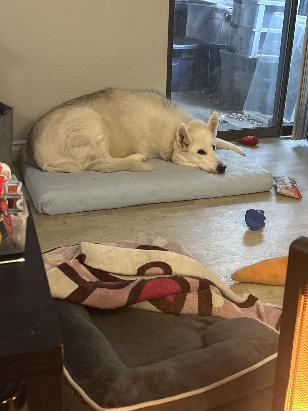 LE SURE Cooling Dog Bed, XXL Q-Max>0.5 Cooling Mat with Removable Washable Cover, Breathable Orthopedic Egg Crate Foam Non-Slip Summer Pad for Extra Large Active/Senior/Long-Haired Pets, 47×29 Inch customer photo 1″ class=”wp-image-customer”/></figure>


<p>The bamboo rayon fabric genuinely feels cooler than standard polyester covers. It has a smooth, almost silky texture that our dogs seemed to prefer. The cover zips off for machine washing, and the non-slip bottom kept the bed firmly in place on our tile floor even when our larger test dog climbed on and off repeatedly.</p>

<p>In tropical heat, the LE SURE performs similarly to the Bedsure in terms of cooling mechanism, absorbing body heat through the fabric surface. The advantage is the foam core, which allows air circulation through the egg-crate structure. This helps heat dissipate faster than a flat mat, giving you slightly longer effective cooling between resets. If you are also considering <a href=