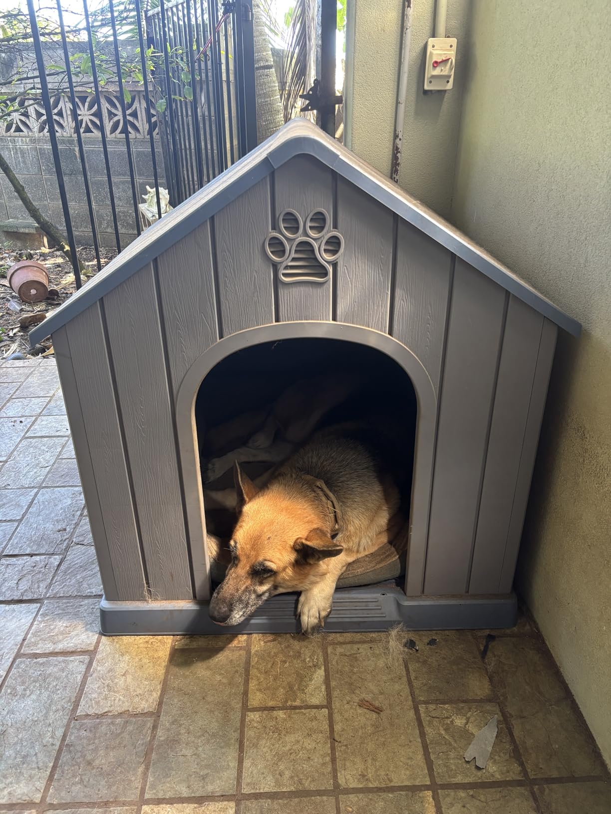 Bifanuo Outdoor Indoor Dog House for Small & Medium Dogs - Weatherproof Shelter with Elevated Floor, Hidden Vents & Tool-Free Assembly (Classic Grey, 26.18