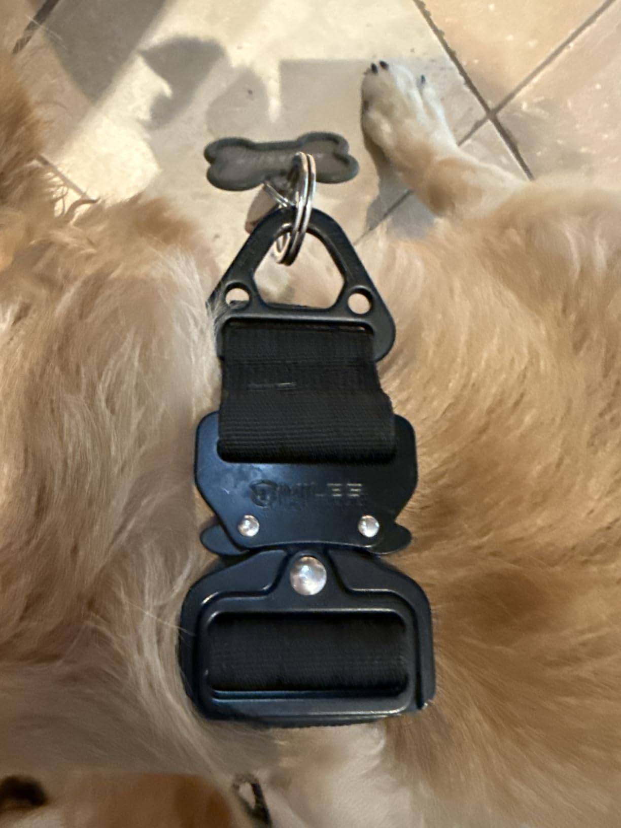Miles Tactical Dog Collar - Heavy Duty Nylon Dog Collar with Aluminum Metal Buckle (Hunter Orange, Large) customer photo 1