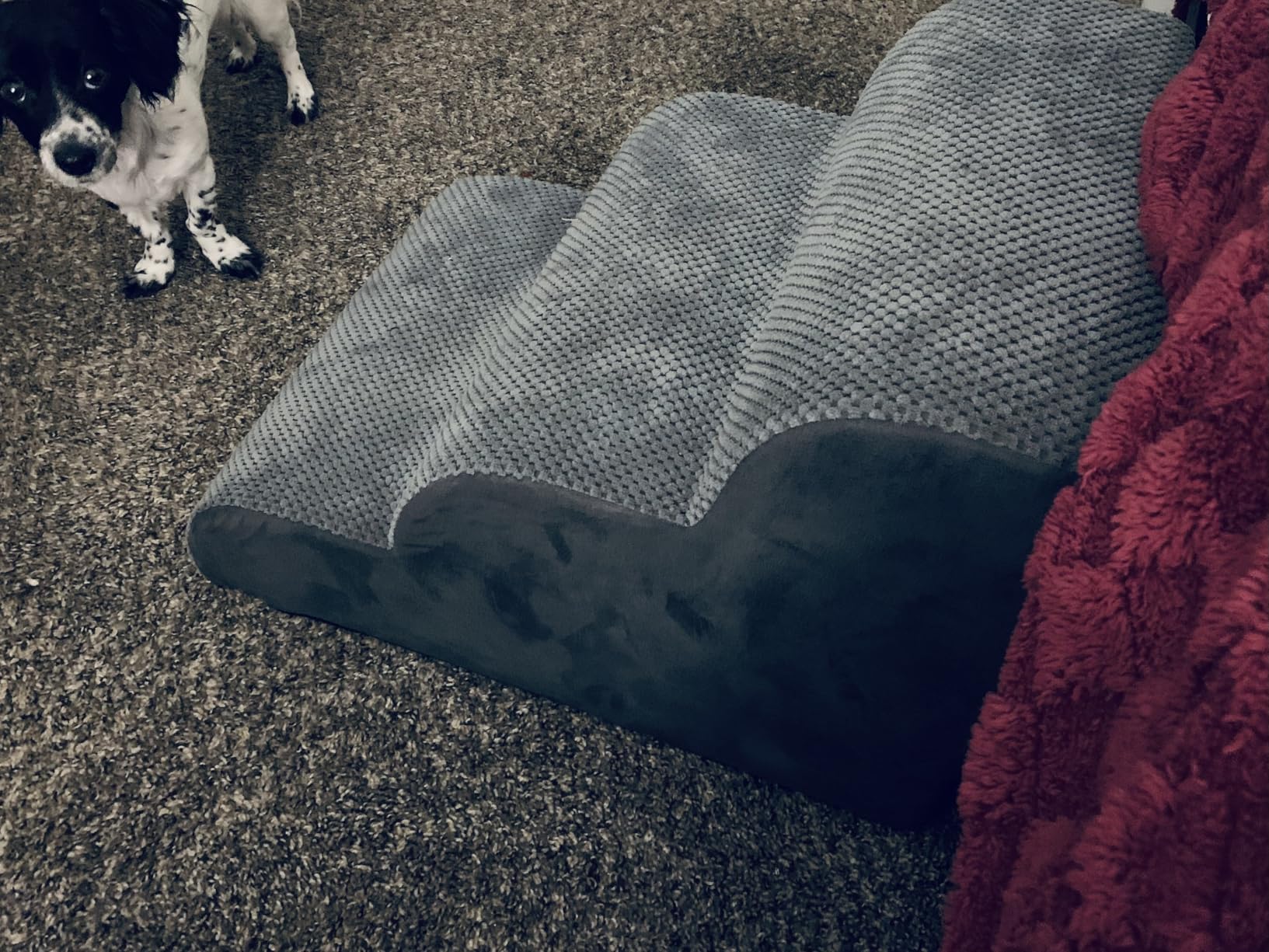 DUMOS Dog Stairs for Small and Medium Dogs, 3-Step Pet Steps with High-Density Foam customer photo 2
