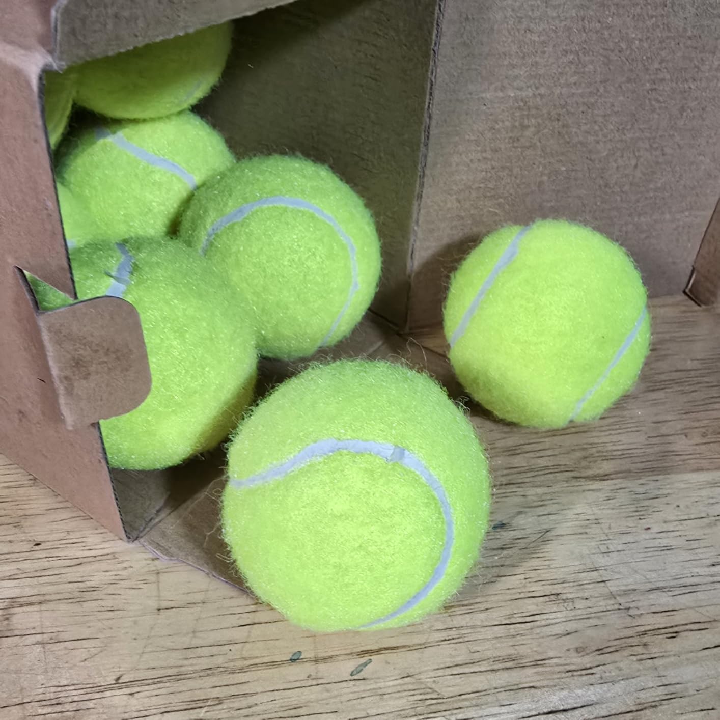 Automatic Dog Ball Launcher for Small Dogs & Medium Dogs, Interactive Fetch Machine with 3 Launch Distances (15-45 FT), USB Rechargeable, Includes 6 ETPU Balls customer photo 1
