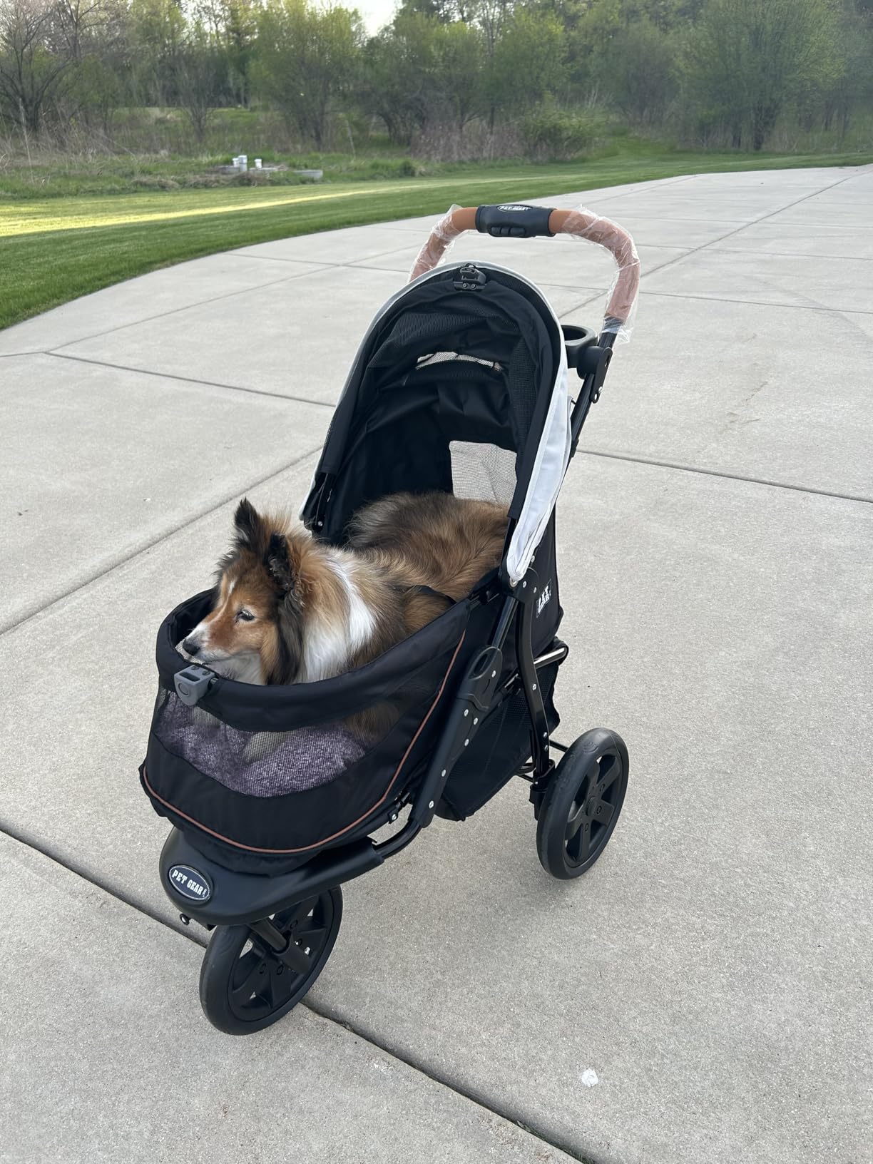 Pet Gear No-Zip AT3 Pet Stroller for Cats/Dogs, Sea Salt | Zipperless Entry, Easy One-Hand Fold, Jogging Tires, Removable Liner, Cup Holder + Storage Basket customer photo 1