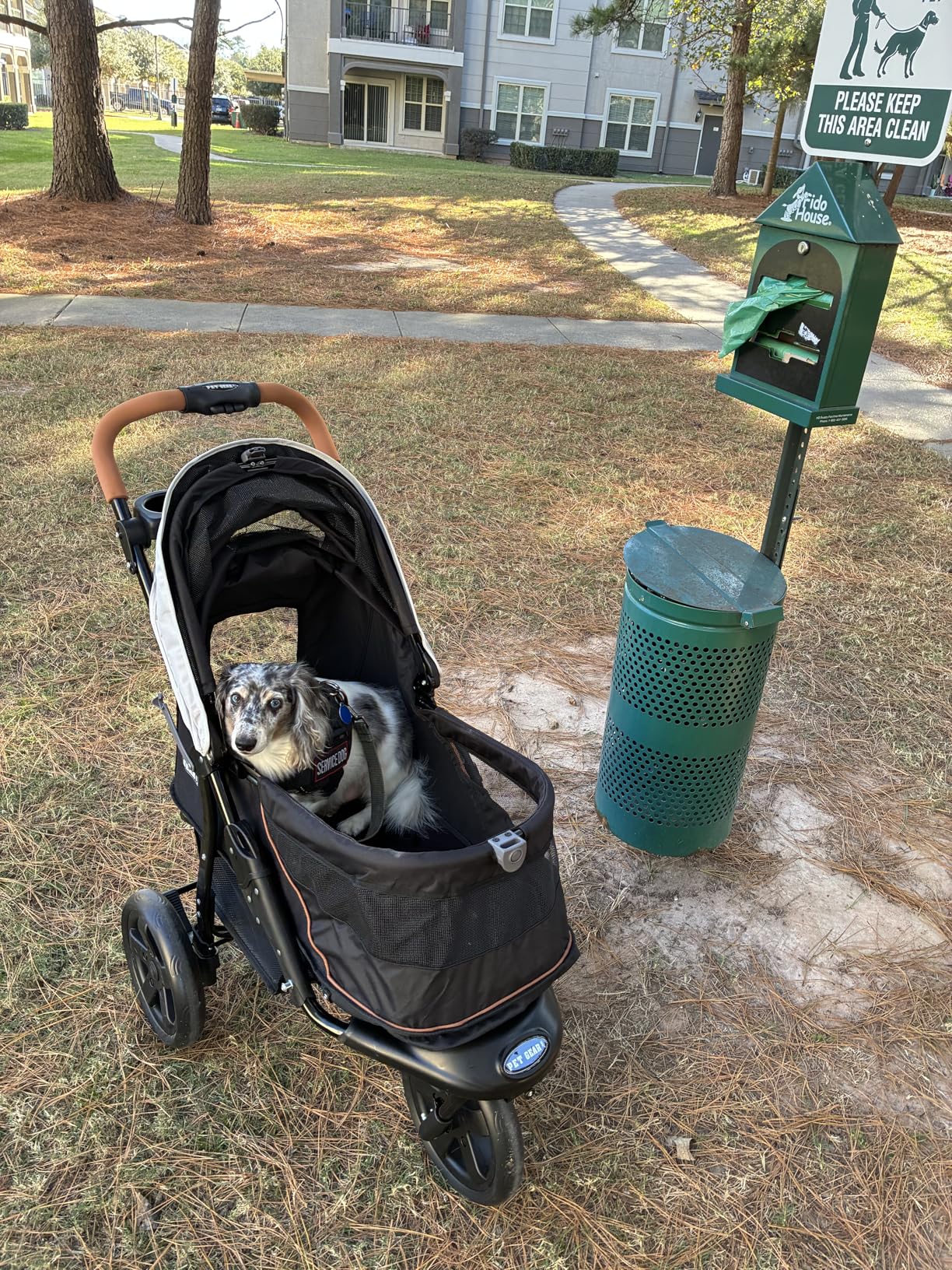 Pet Gear No-Zip AT3 Pet Stroller for Cats/Dogs, Sea Salt | Zipperless Entry, Easy One-Hand Fold, Jogging Tires, Removable Liner, Cup Holder + Storage Basket customer photo 2