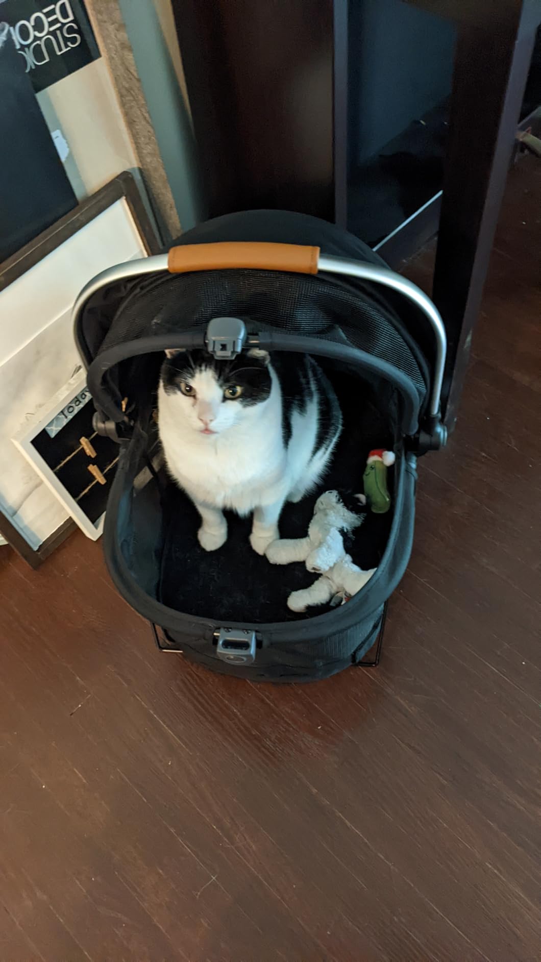 Pet Gear No-Zip View 360 Pet Safety Carrier & Car Seat for Small Dogs & Cats Push Button Entry, View 360 20-inch, Dark Charcoal customer photo 2