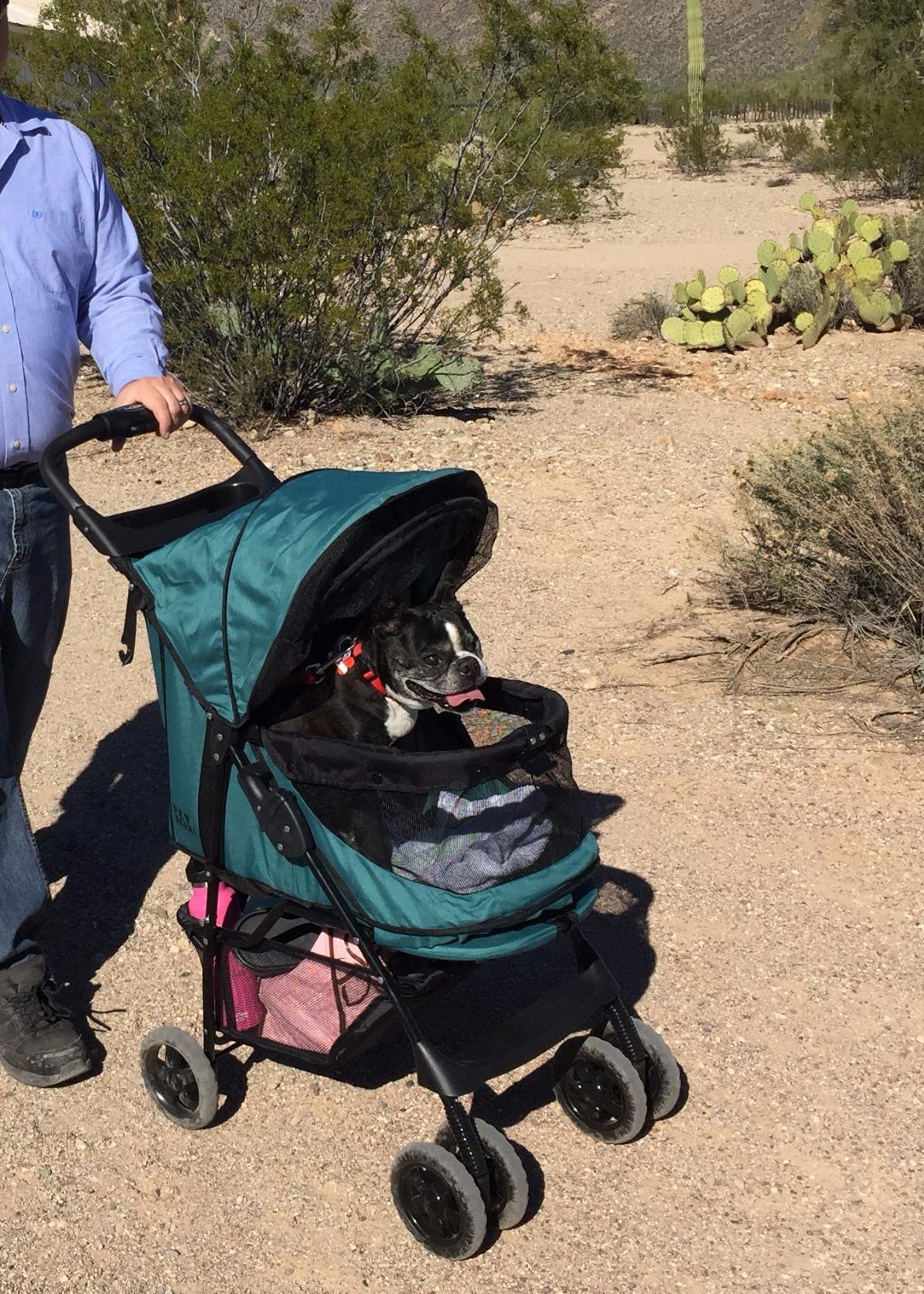 Pet Gear No-Zip Happy Trails Pet Stroller for Cats/Dogs, Zipperless Entry, Easy Fold with Removable Liner, Storage Basket and Cup Holder, Caribbean Blue customer photo 2