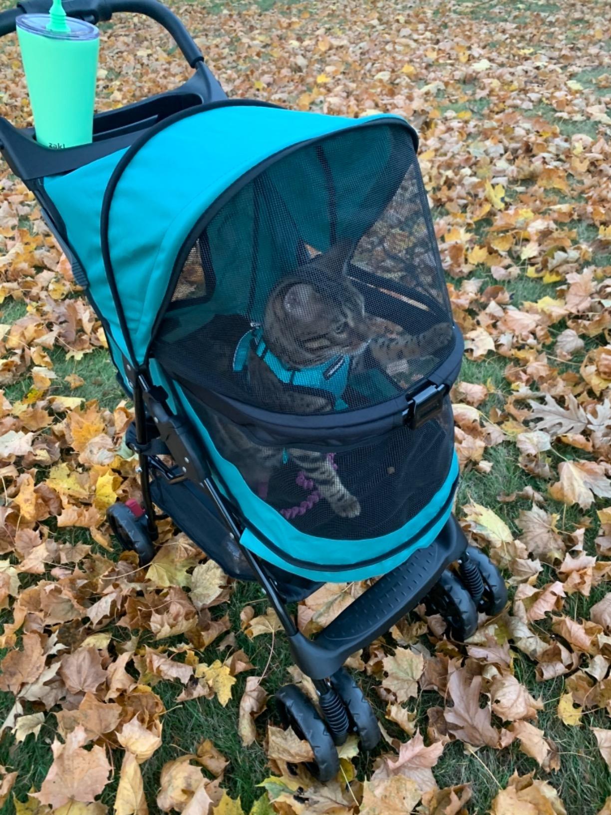 Pet Gear No-Zip Happy Trails Pet Stroller for Cats/Dogs, Zipperless Entry, Easy Fold with Removable Liner, Storage Basket + Cup Holder, Caribbean Blue customer photo 2