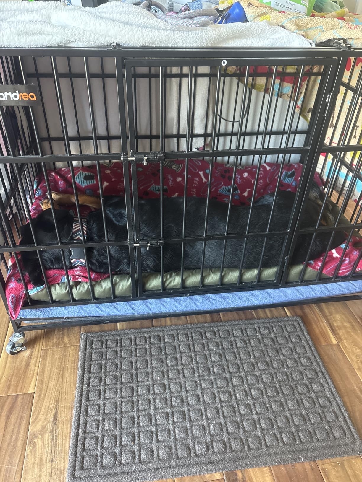 Feandrea Heavy-Duty Dog Crate, 5-Minute Quick Assembly, Foldable Dog Kennel Cage with Lockable Wheels, Double Doors, Escape Proof Fixed Bottom, Removable Tray, Easy to Clean, Ink Black, 37 Inch customer photo 2