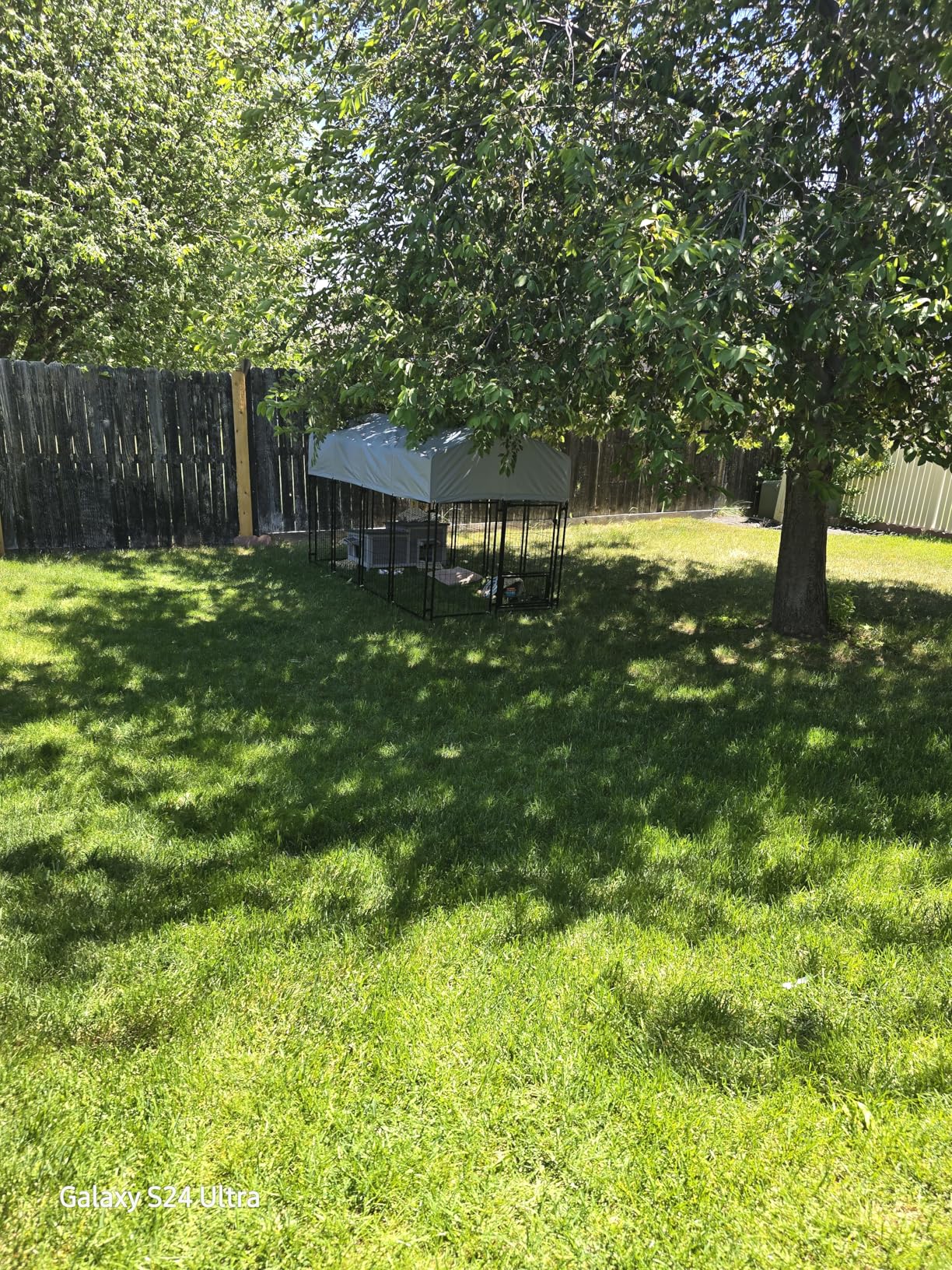 Oranland 7.8x4x5FT Outdoor Dog Kennel for Small/Medium Dogs, Welded Wire Outside Dog Pen, Anti-Rust Dog Run with Secure Lock, UV-Resistant Waterproof Roof & Swivel Stainless Steel Feeding Bowls customer photo 1