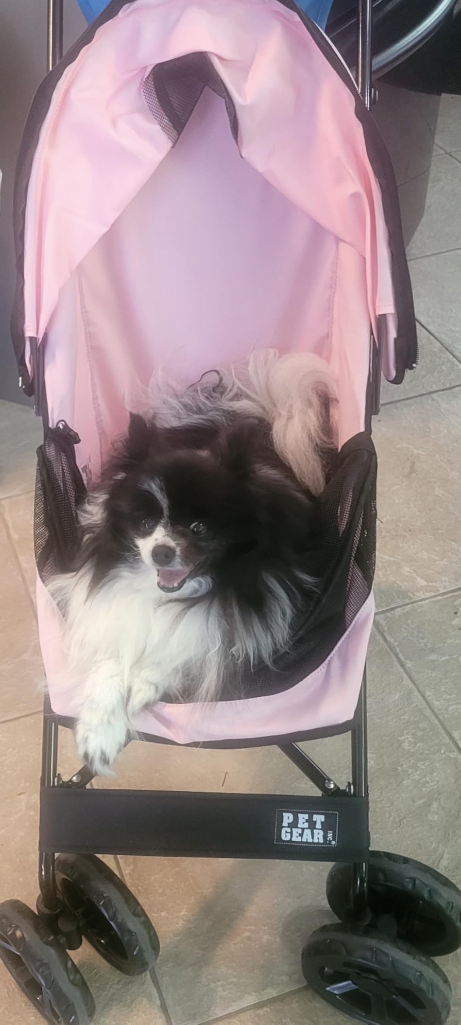 Pet Gear Travel Lite Plus Stroller, Compact, Easy Fold, No Assembly Required, Large Wheels for Cats and Dogs up to 15 pounds, Dark Charcoal customer photo 1