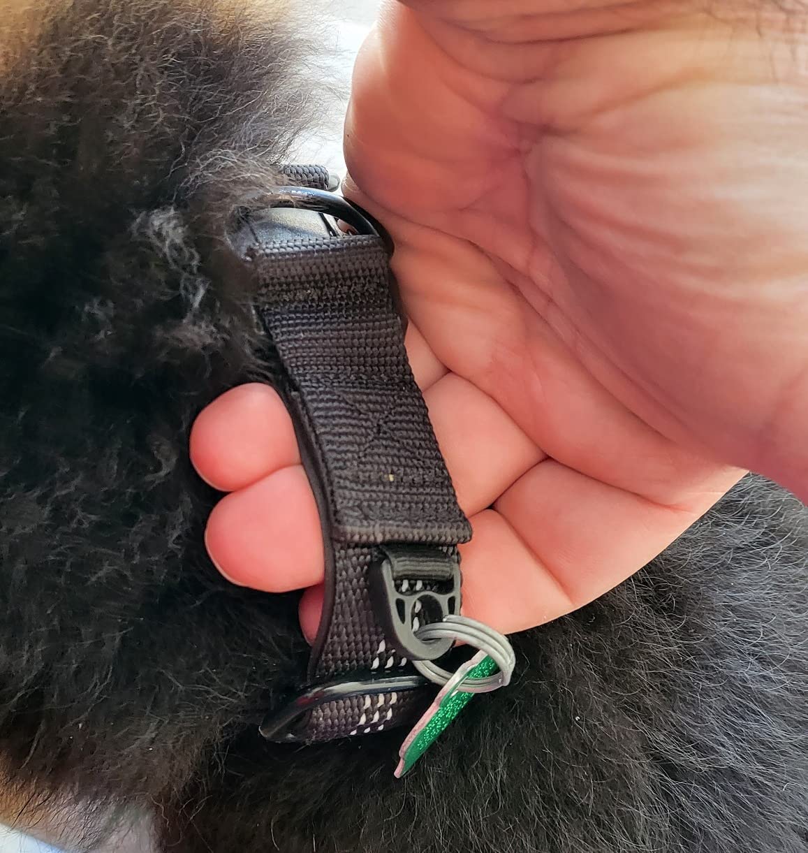 Wireless GPS Dog Collar Fence-Invisible Electric Containment System. No Monthly Fee, Adjustable Beep, Vibration & Static. 48H Waterproof Rechargeable Collar for Backyard Escape Prevention & Camping customer photo 2