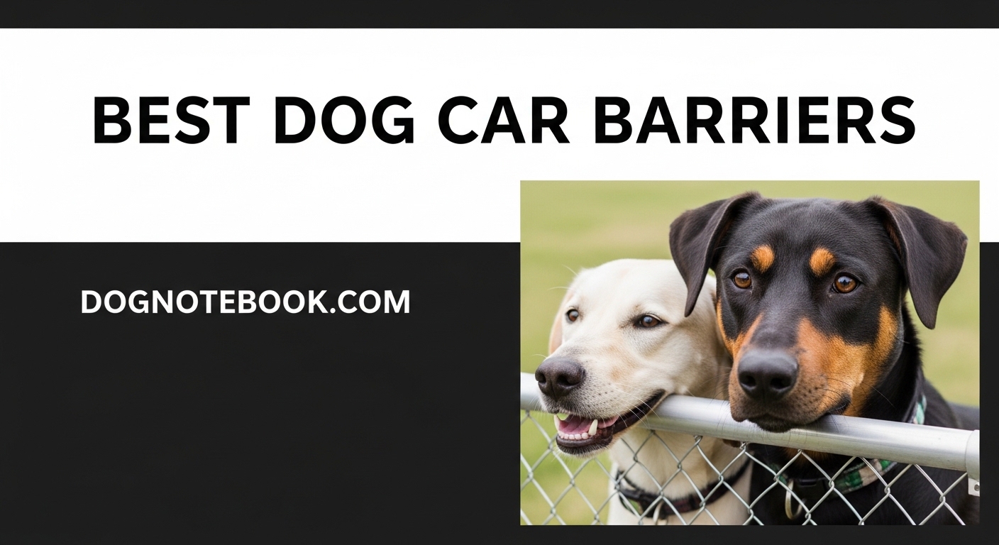Best Dog Car Barriers