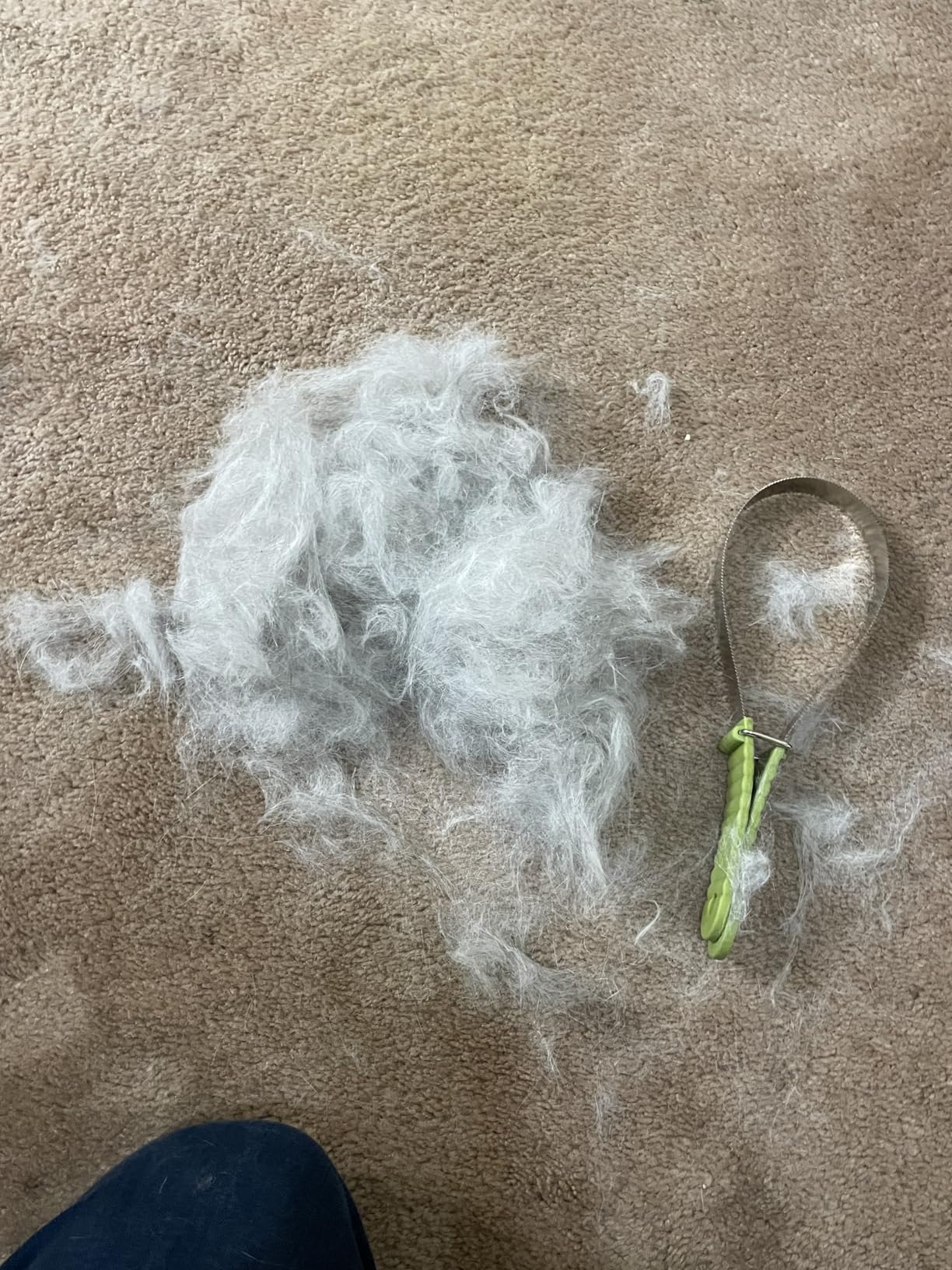 Coastal Pet Safari Dual-Sided Dog Shedding Blade - Stainless Steel Grooming Blade for Thick Coats - For Dogs with Short and Long Hair - Medium-Large - 10