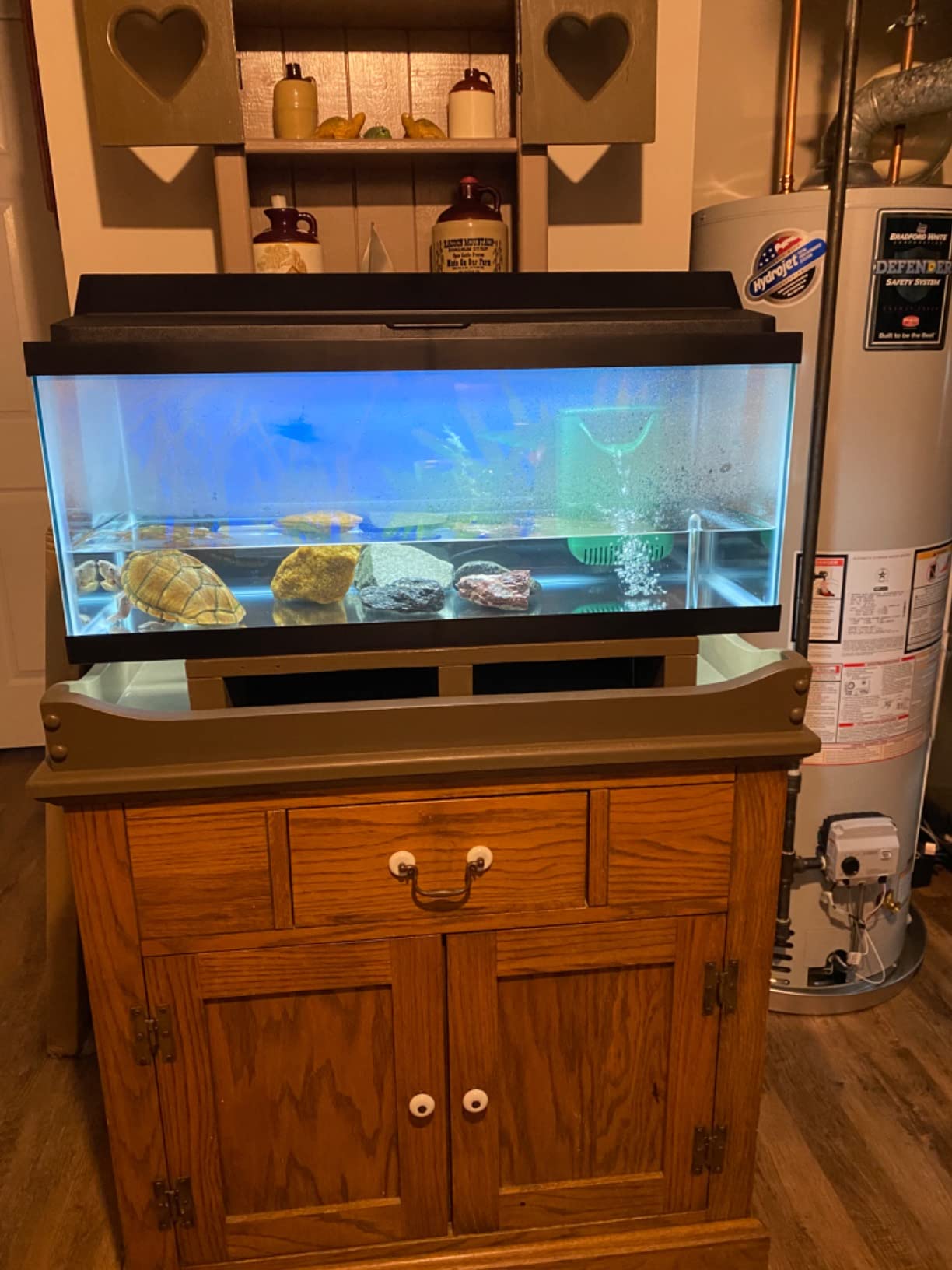 Aqueon Aquarium 20 Gallon Long customer photo 1