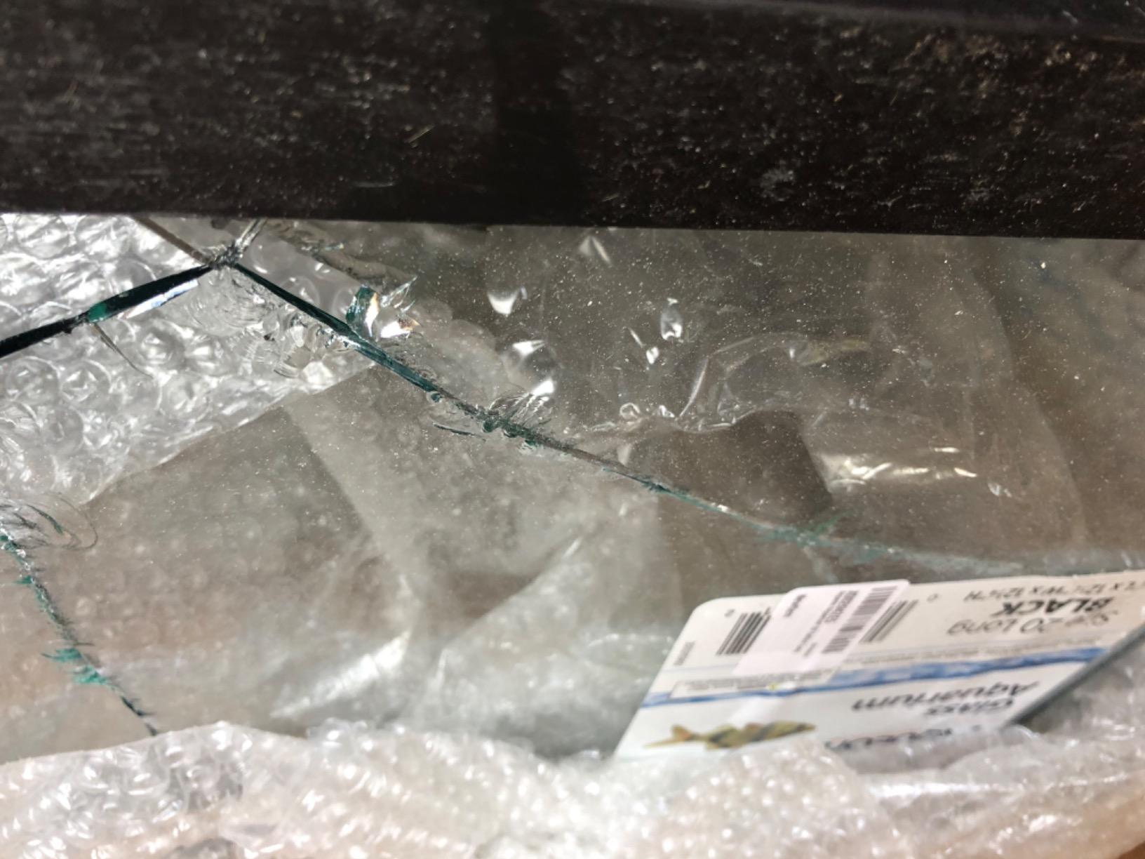 Aqueon Aquarium 20 Gallon Long customer photo 2