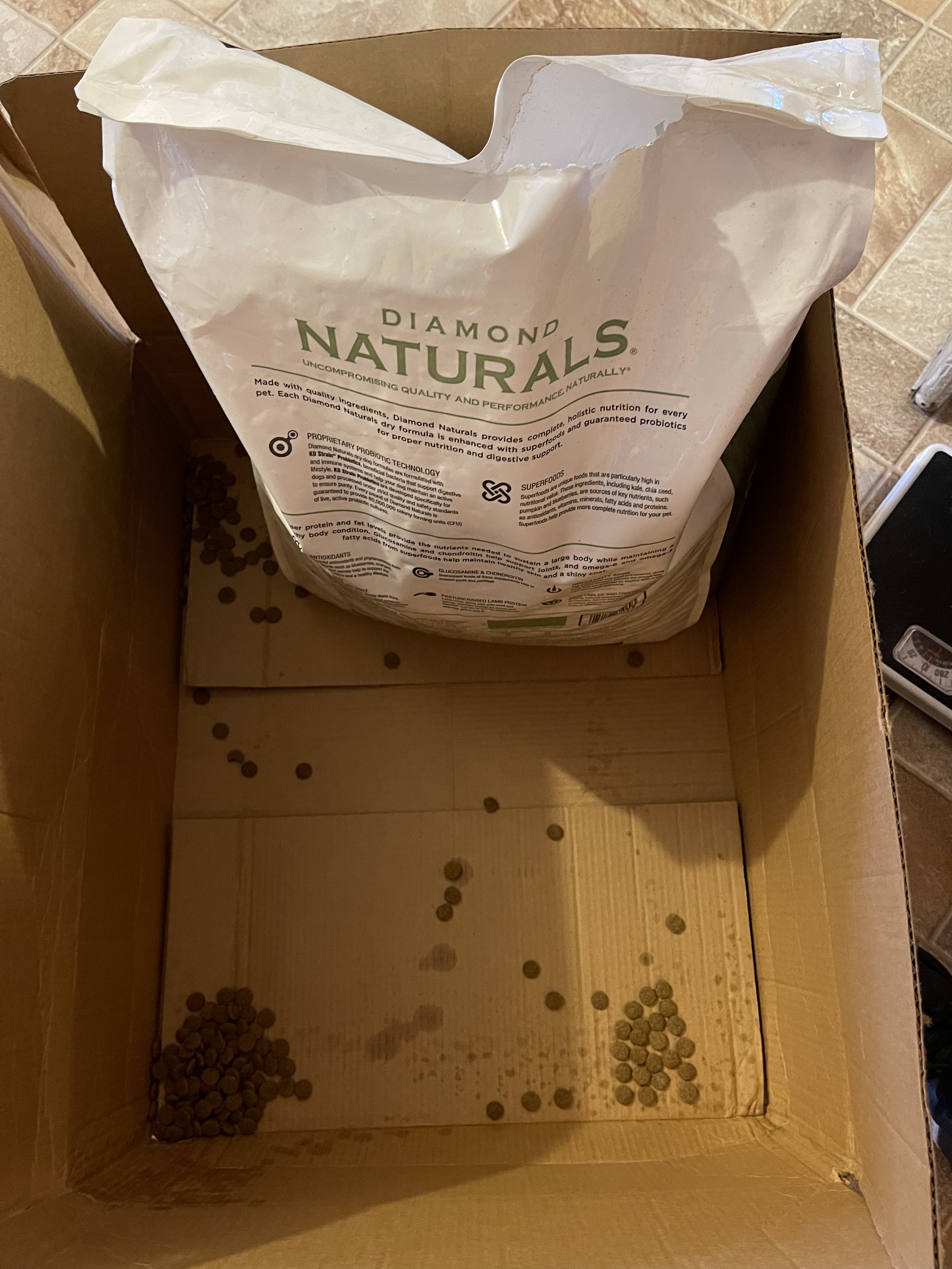 Diamond Naturals Large Breed Adult Dry Dog Food, Lamb Meal & Rice, 40lb | Pasture Raised Lamb Protein | Glucosamine & Chondroitin to Help Support Large Breed Dogs | Probiotics for Digestive Support customer photo 2